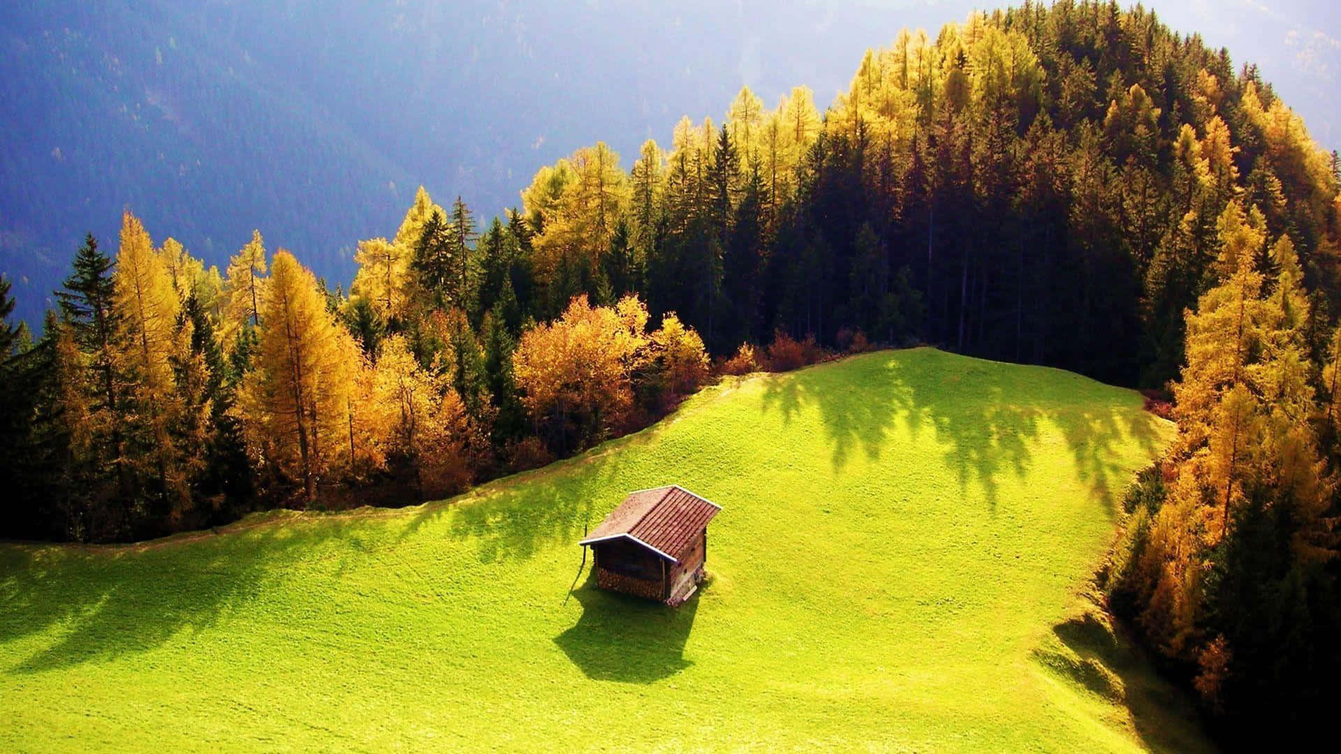 Bildlivligt Grönskande Fält I Tyskland