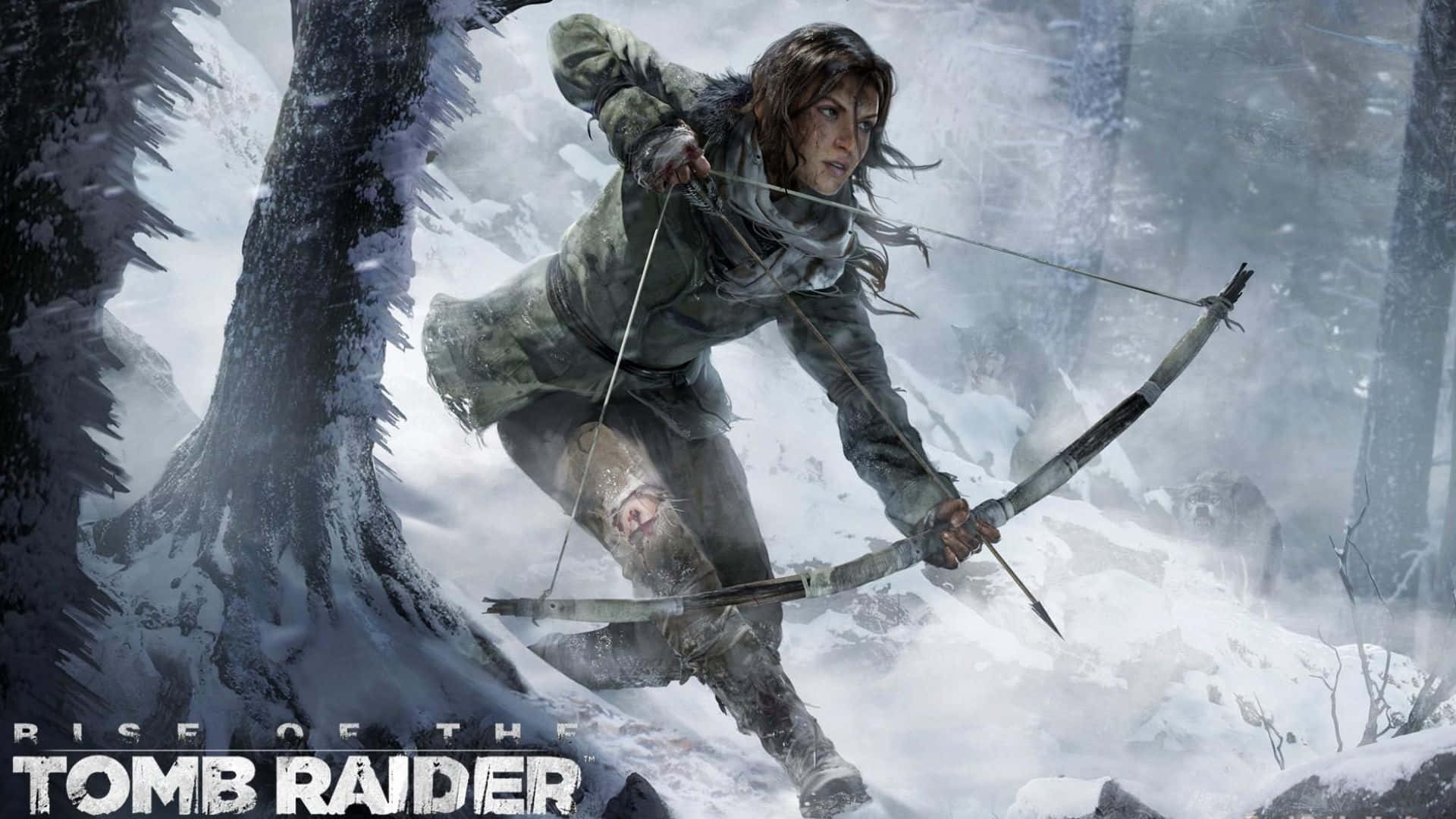 1080prise Of The Tomb Raider Vapen Bakgrund