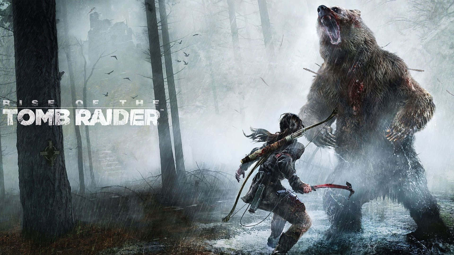 Sfondo1080p Di Rise Of The Tomb Raider: Lara Vs. Bear