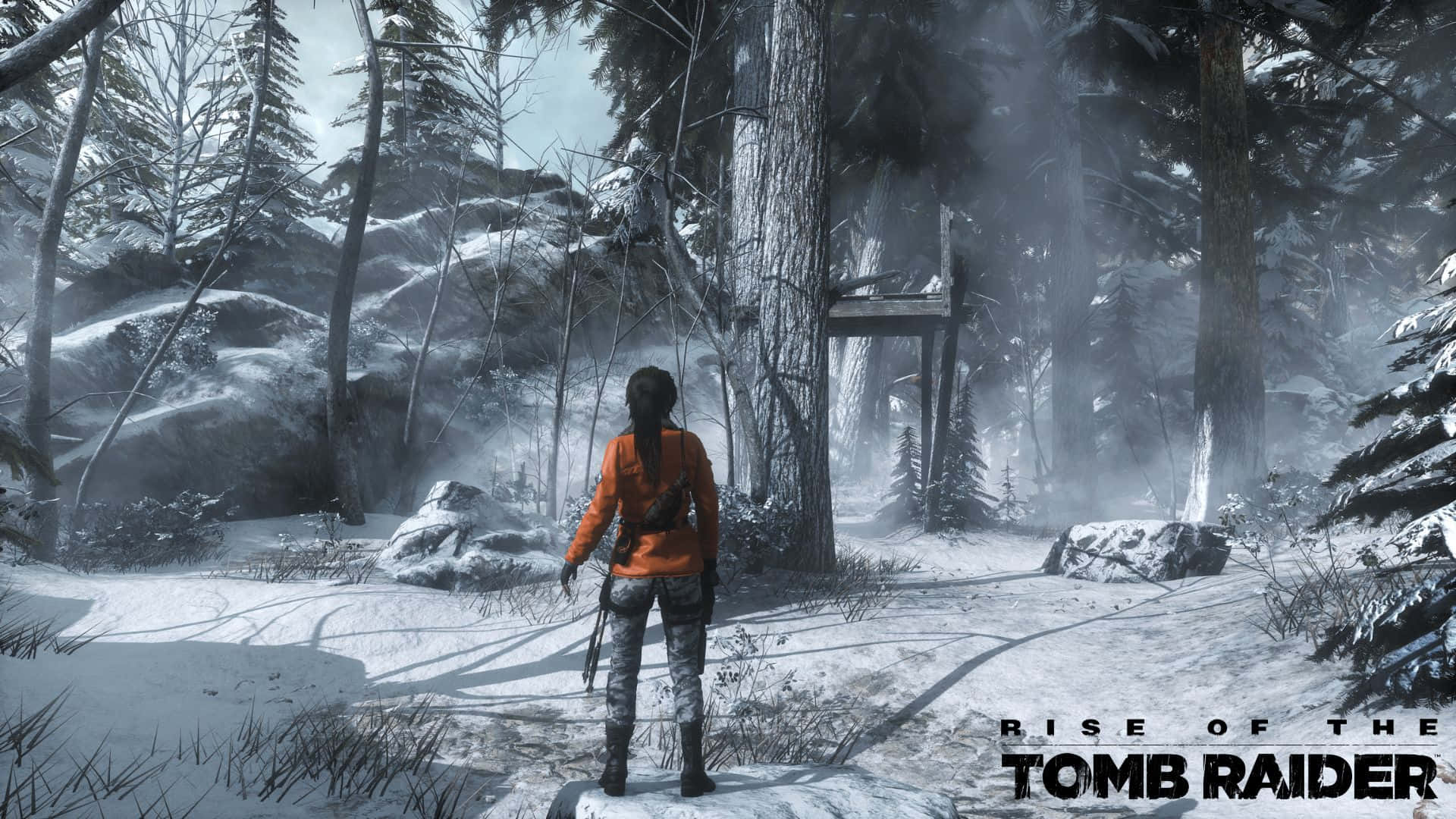 Fondode Pantalla De Rise Of The Tomb Raider En Un Bosque Nevado, Resolución 1080p.