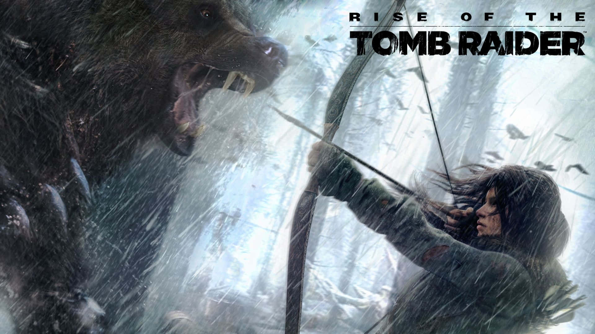 1080p Rise Of The Tomb Raider Archer Background