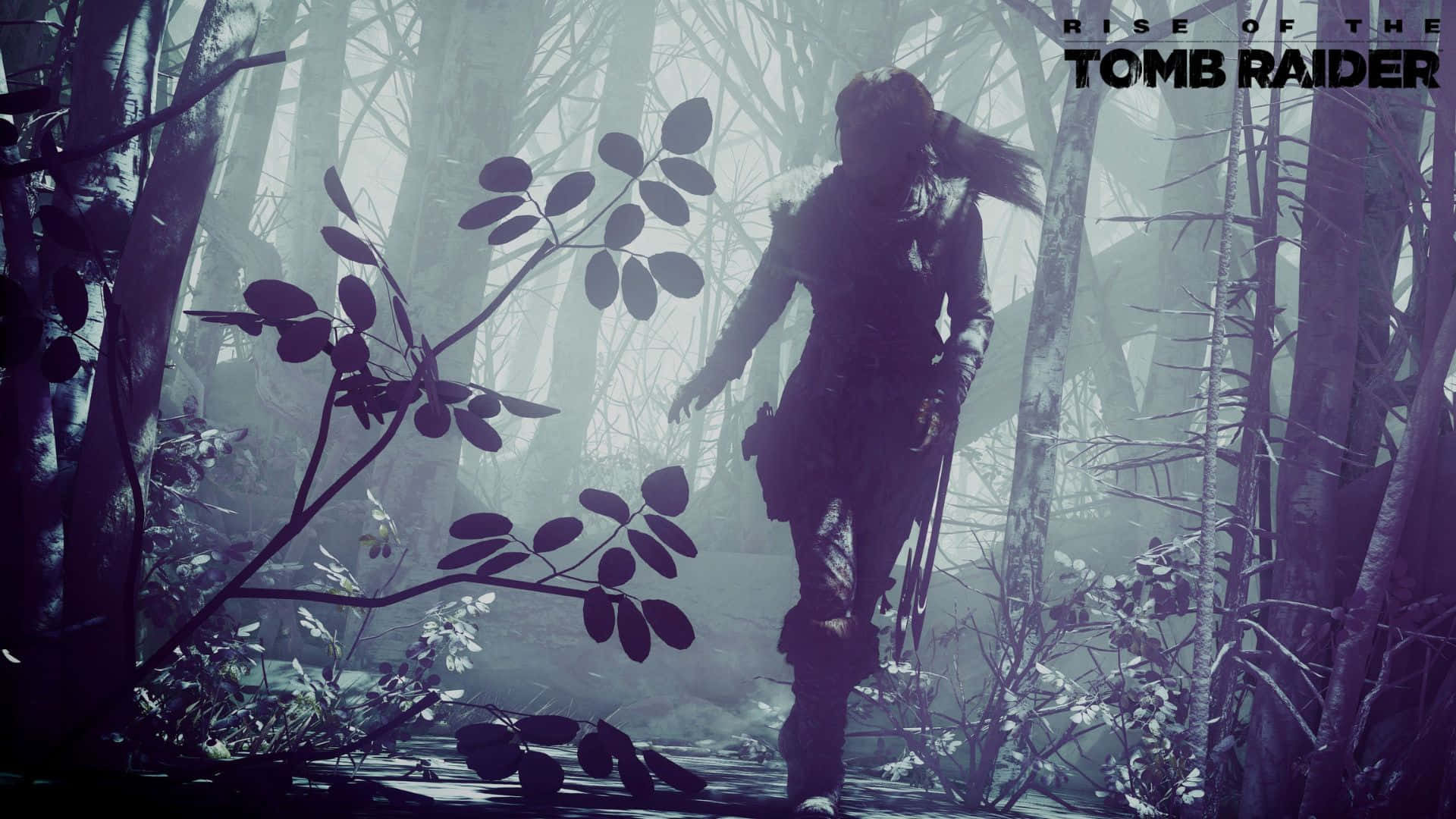 1080prise Of The Tomb Raider Lara Croft Walking Bakgrundsbild.