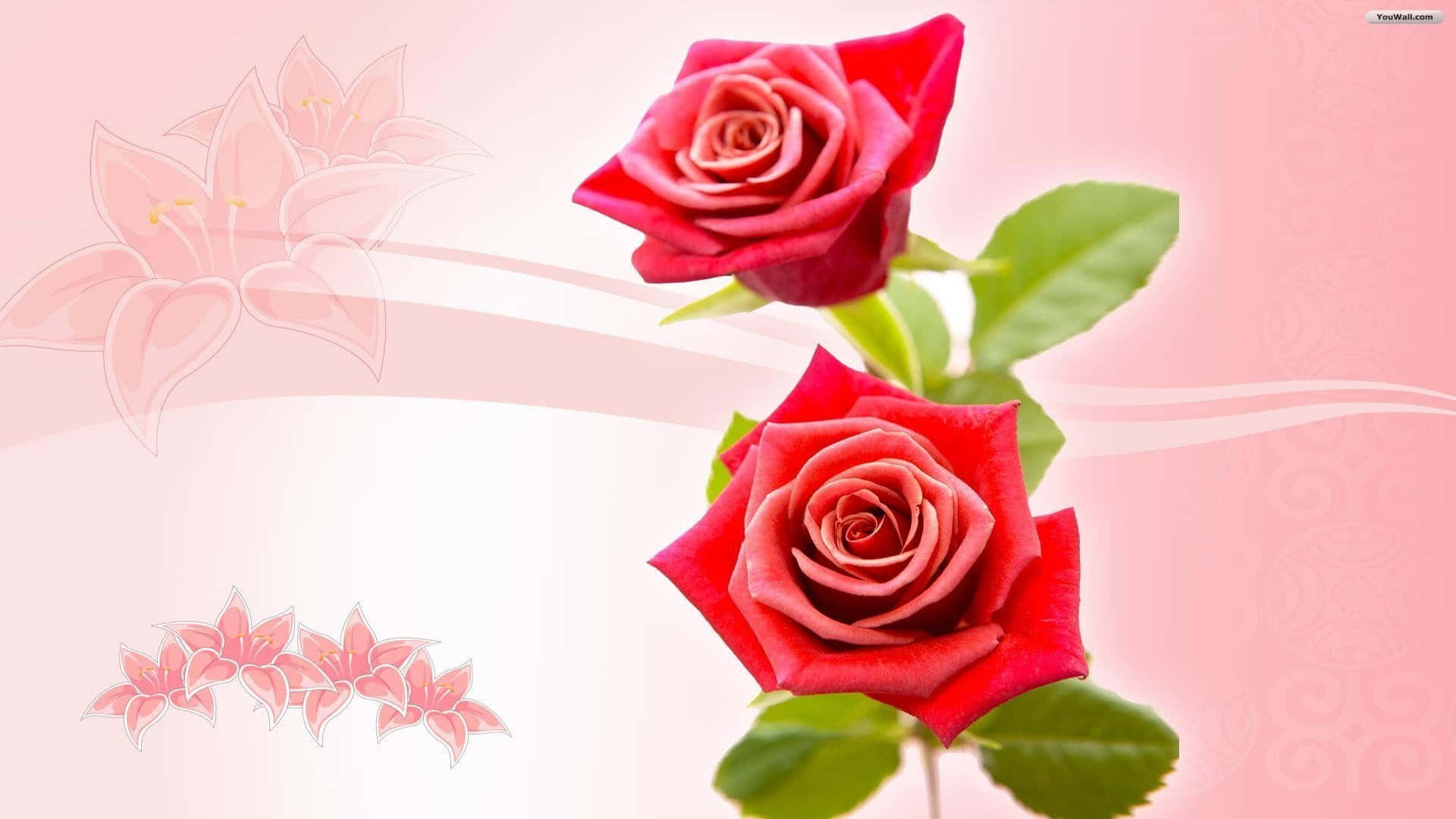 1080p Red Roses Graphic Background
