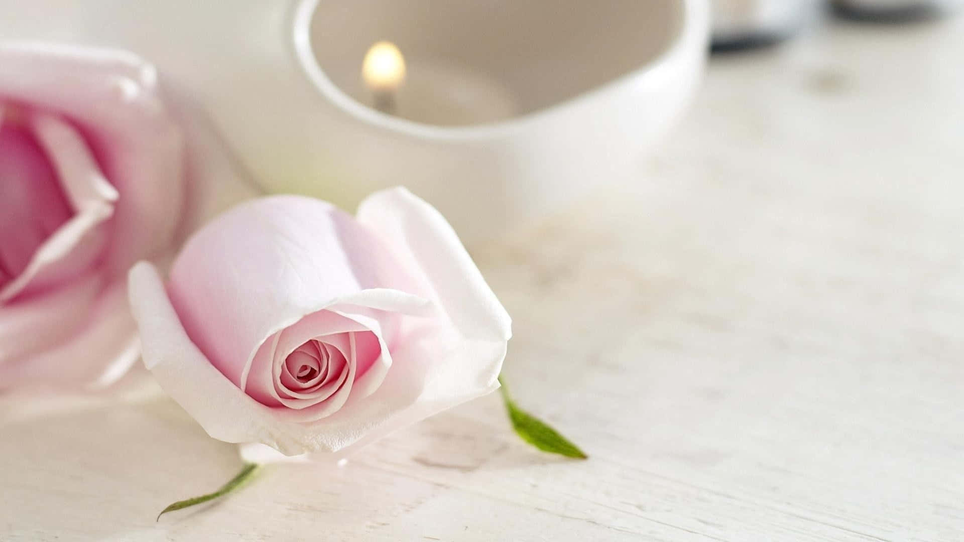 1080p Delicate Pink Roses Background