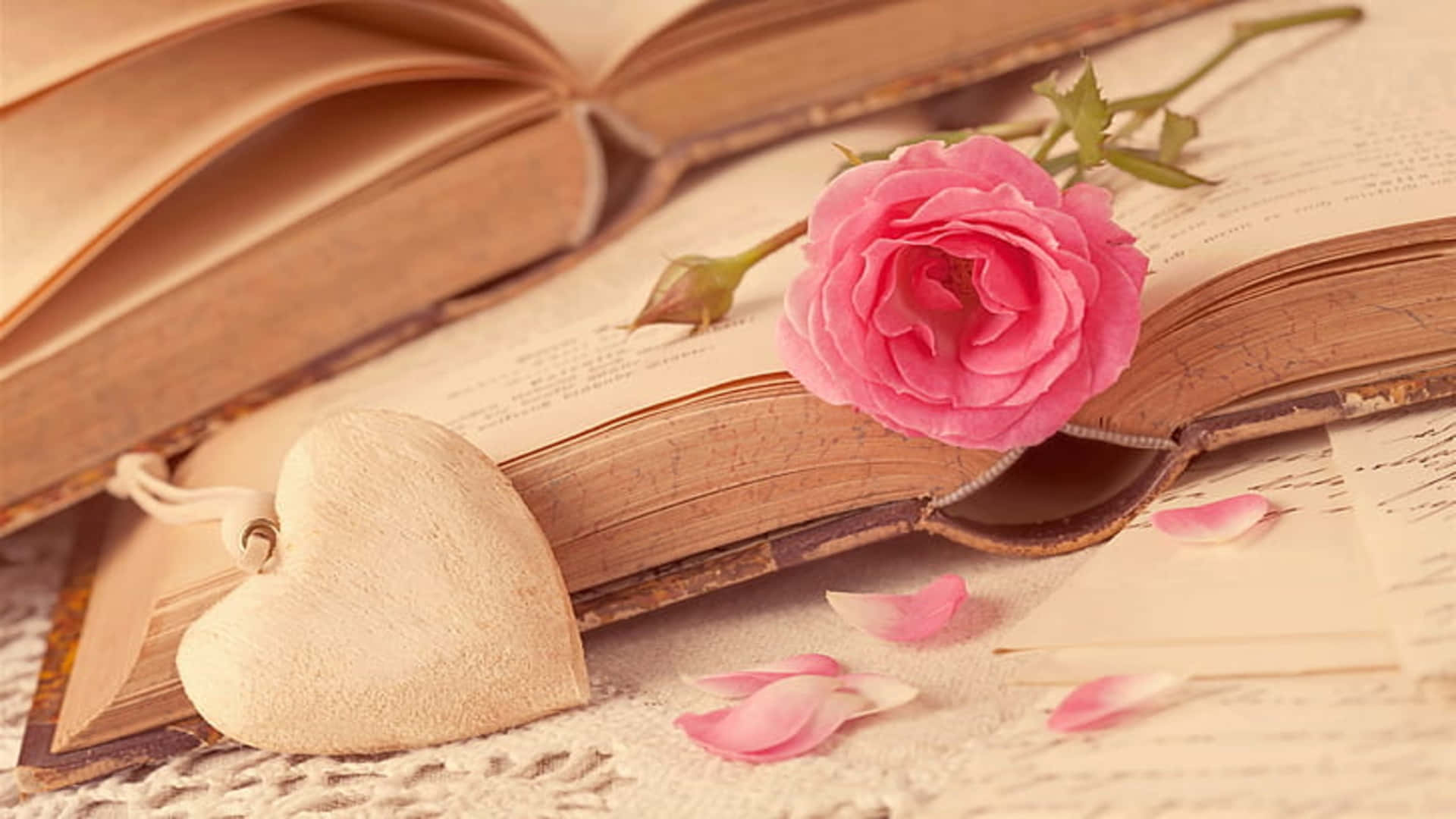 1080p Pink Rose And Book Aesthetic Background
