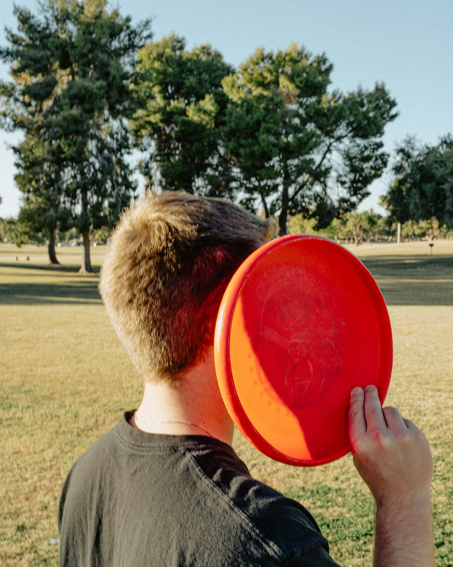 Orange Disc 1080p Ultimate Frisbee Background For Desktop
