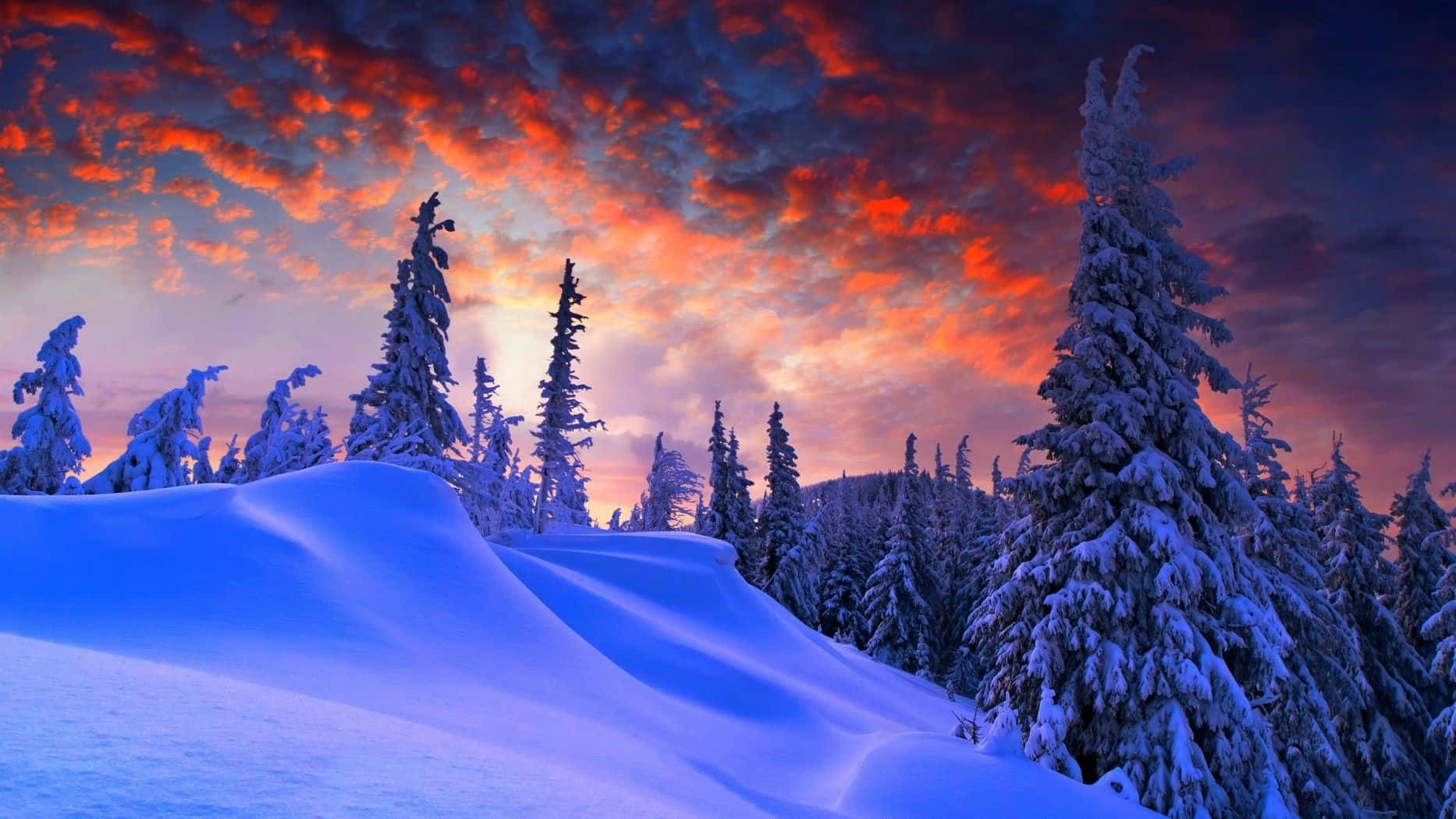 Breathtaking 1080p Winter Landscape // Description: Enjoy a stunning landscape view of a winter scene in the breathtaking resolution of 1080p. // Related Keywords: Winter, Nature, Landscape, Snow, Cold, 1080p, High Resolution, Beautiful
