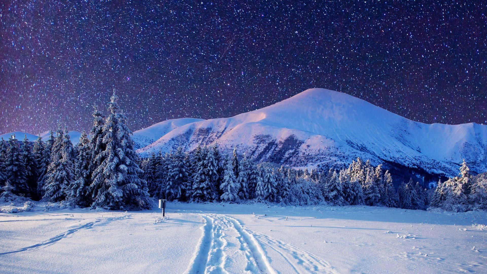 "This winter season, enjoy the best scenery with crystal clear resolution."