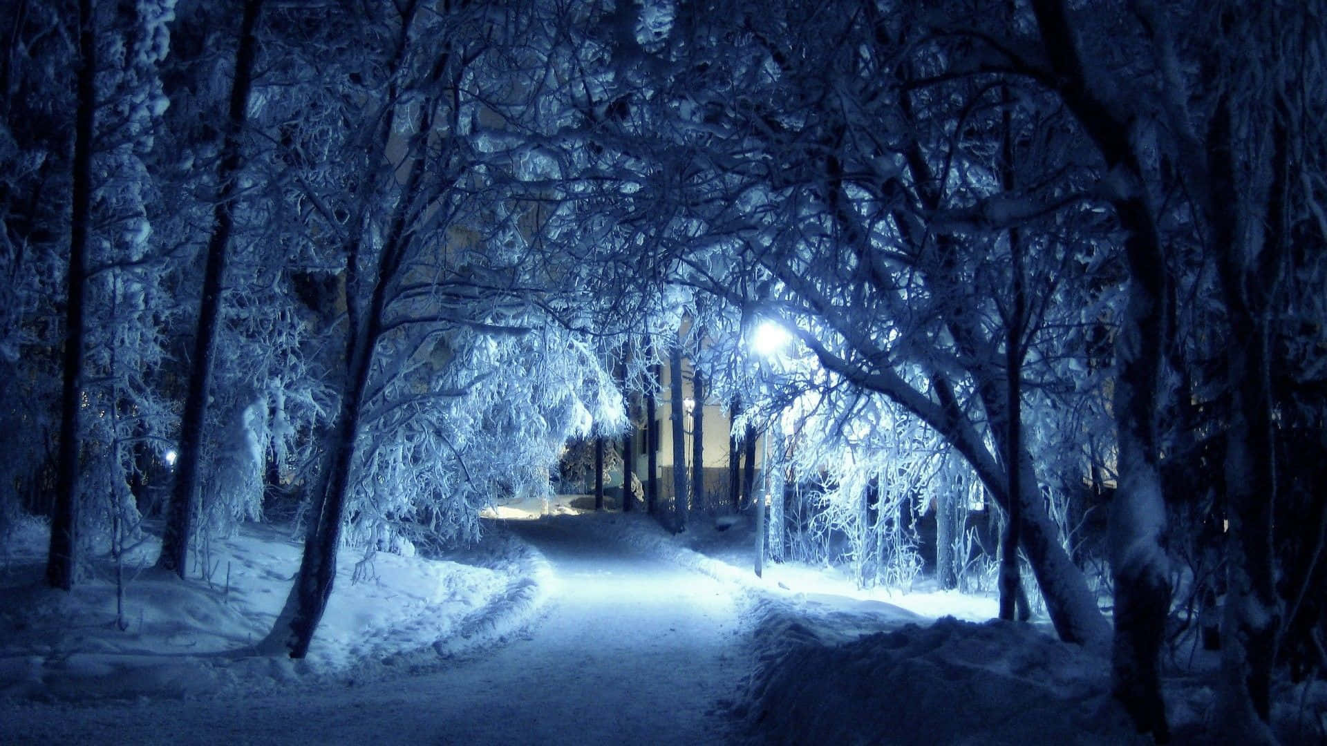 Njutav Snön Under Vintern Och De Blå Nyanserna I Denna Fantastiska Snöiga Landskap.