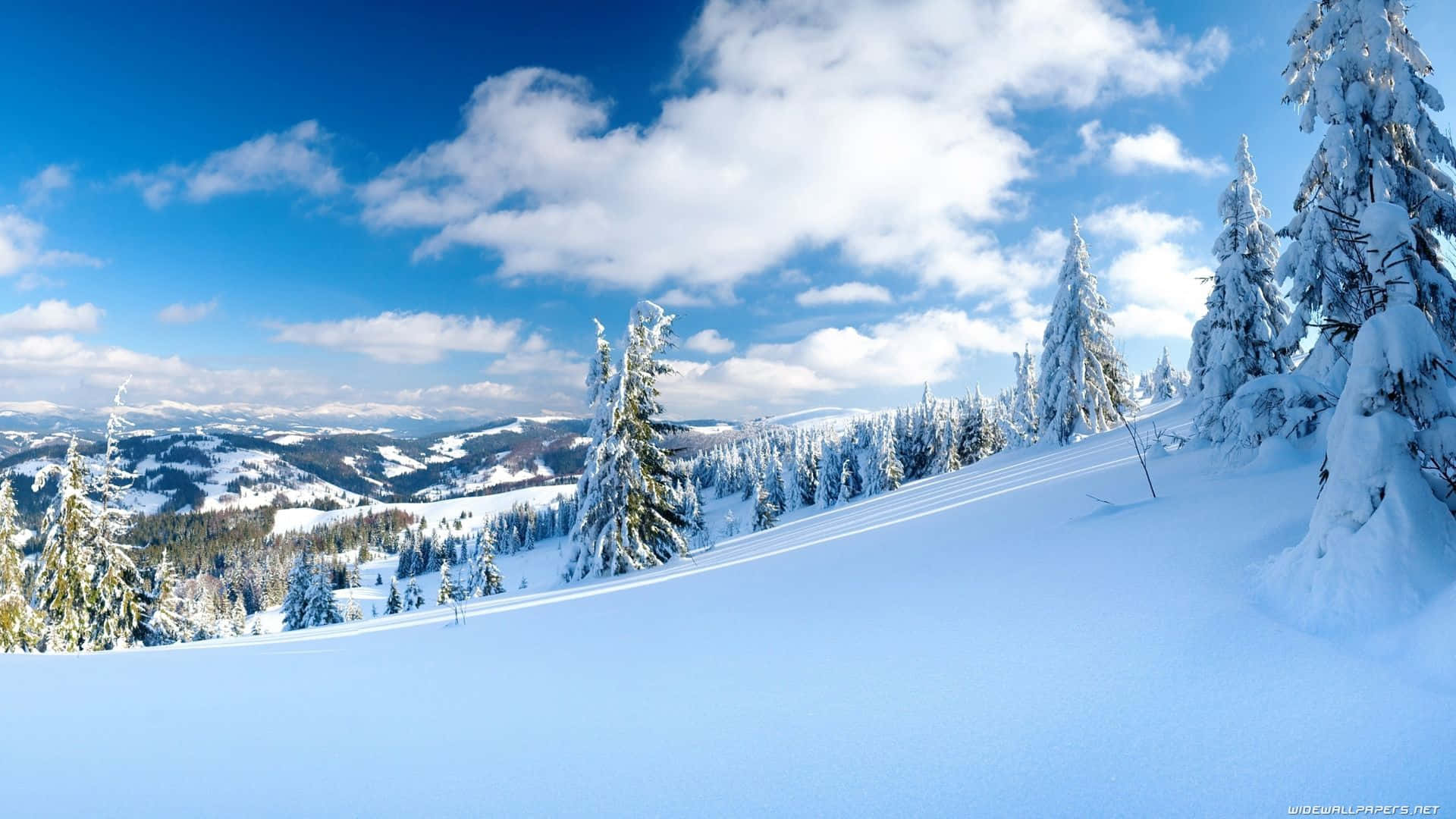 Njutav Den Lugna Skönheten I En Naturlig Vinterlandskap Som Bakgrundsbild På Din Dator Eller Mobiltelefon.