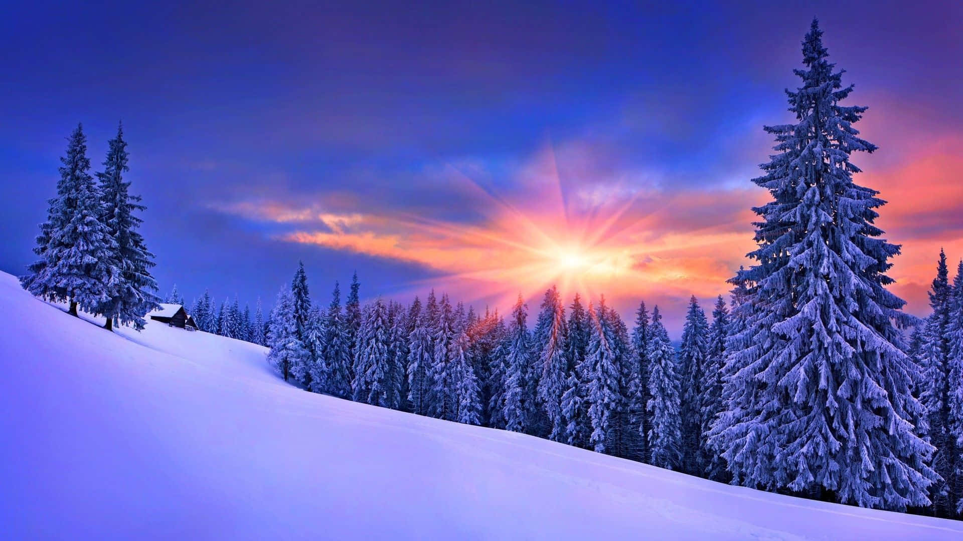 Enjoy this magical winter scenery
