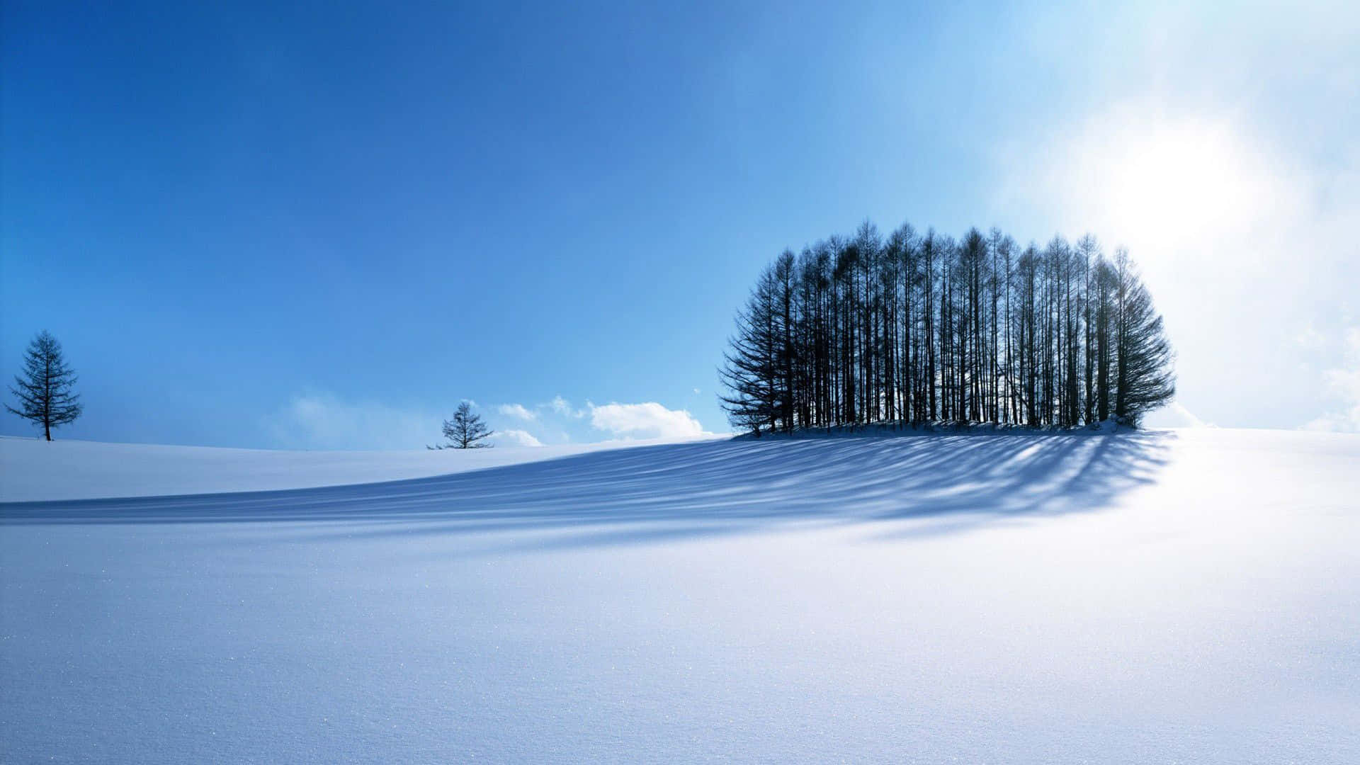 Njutav Den Fridfulla Skönheten I Ett Vinterlandskap.