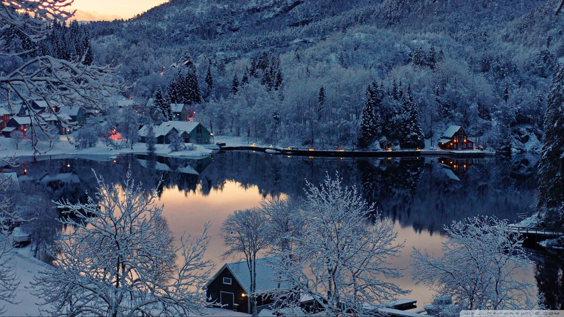 Enjoy the serene view of winter