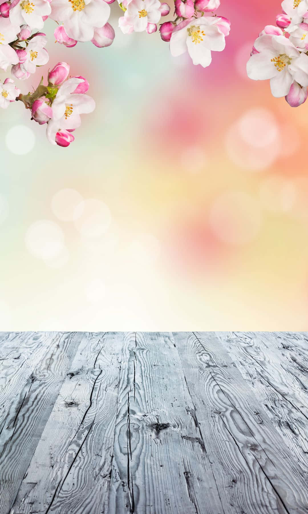 A Wooden Background With Cherry Blossoms And A Pink Sky Wallpaper