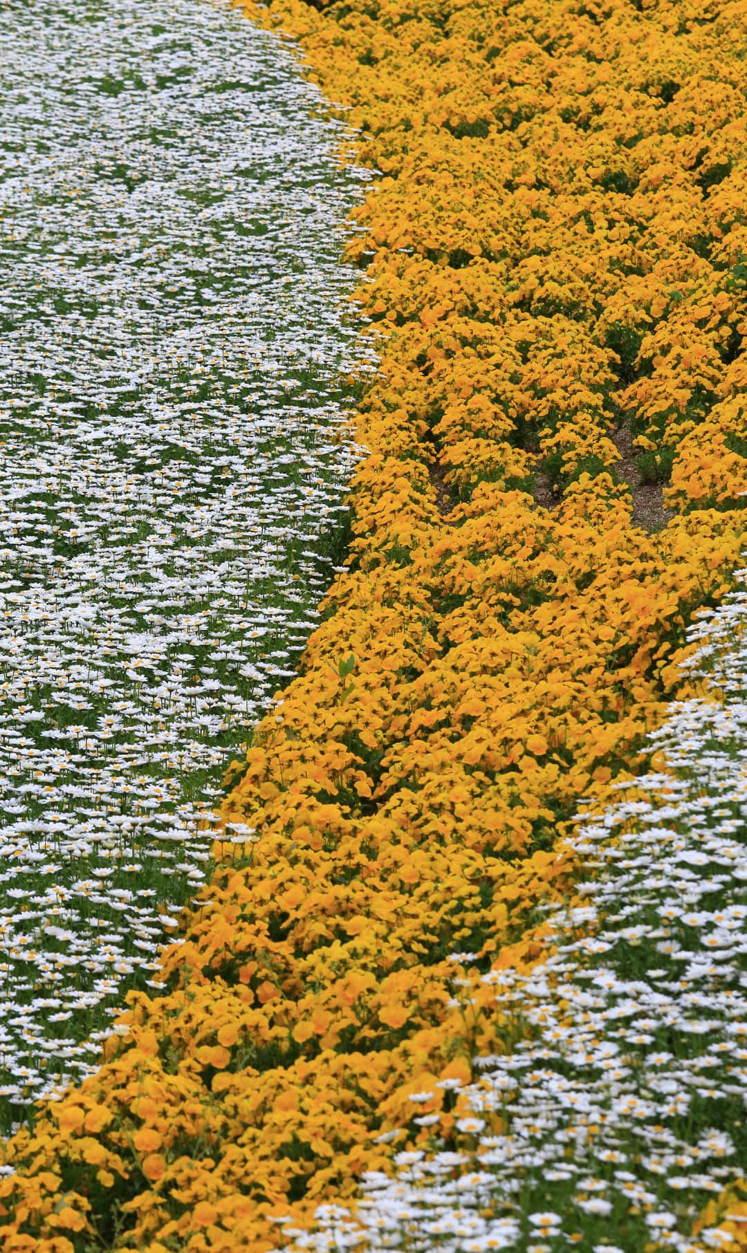 Beautiful Fall Landscape Wallpaper