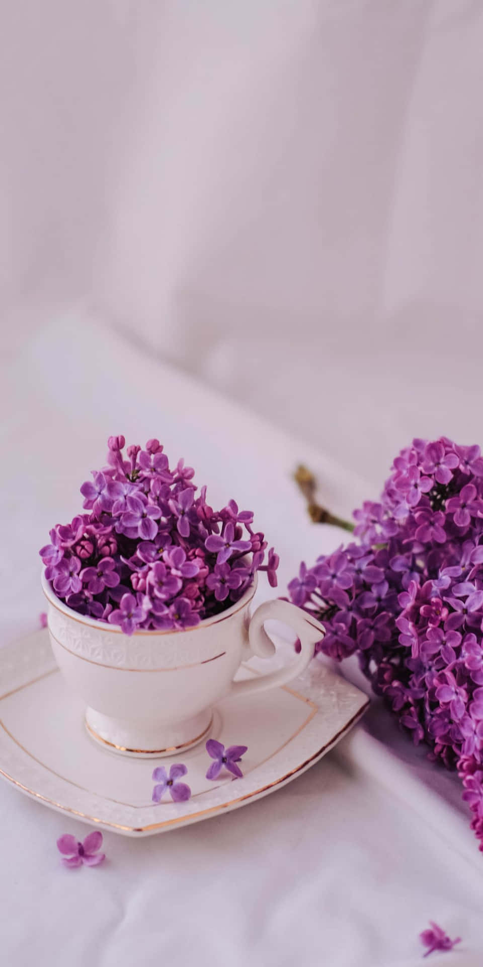 Purple Flowers On A White Table Wallpaper