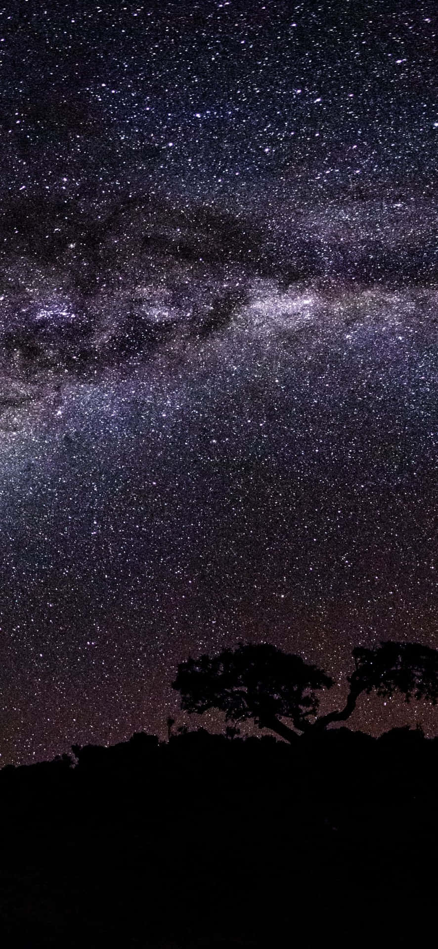 1080x2340 4k Milky Way Night Sky Wallpaper