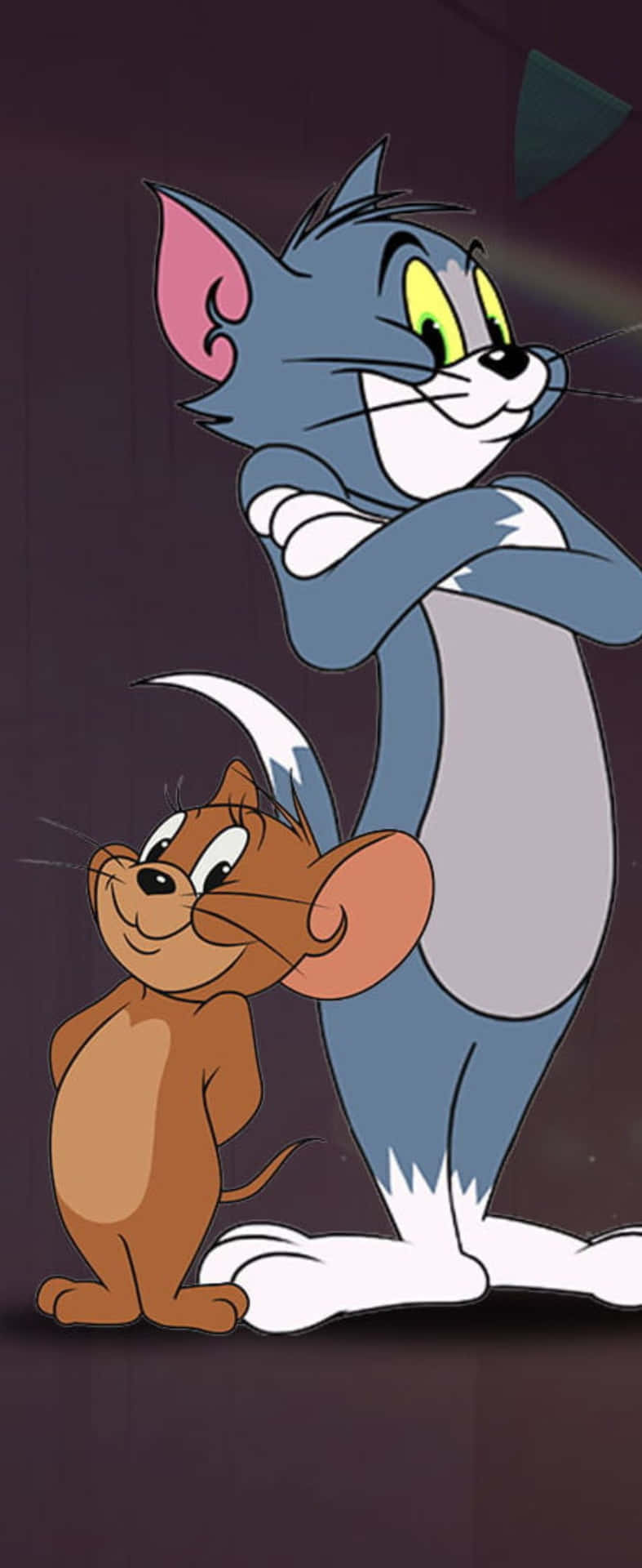 Tom And Jerry Cartoon Wallpaper