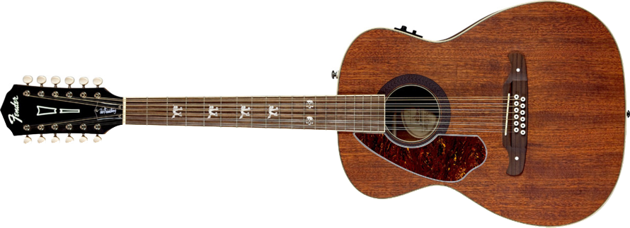 12 String Acoustic Guitar PNG