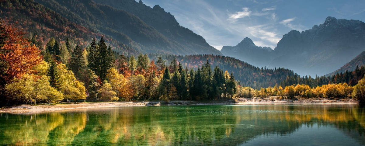 1200x480 Lake With Pine Trees Wallpaper