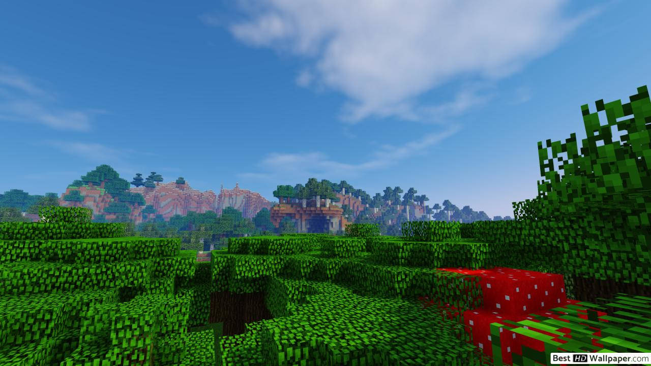 1280x720 Minecraft Field Background