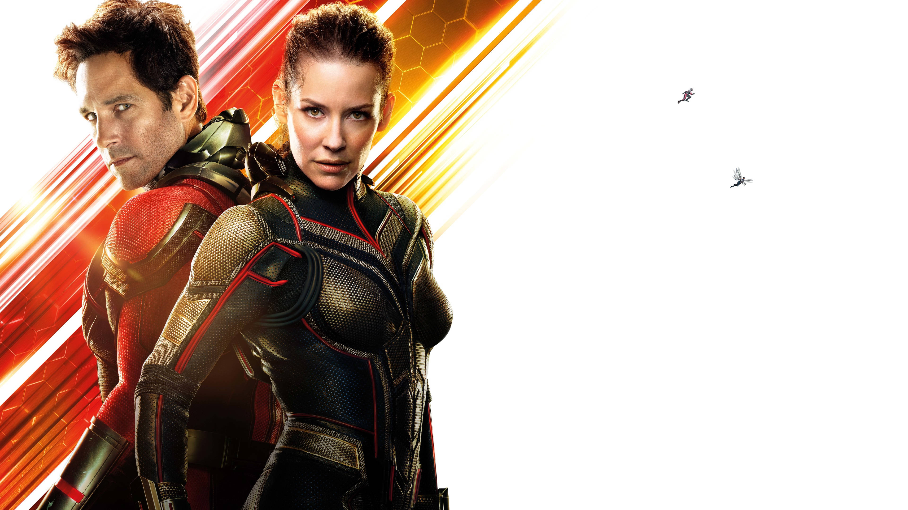 12k Ant-man And The Wasp Wallpaper