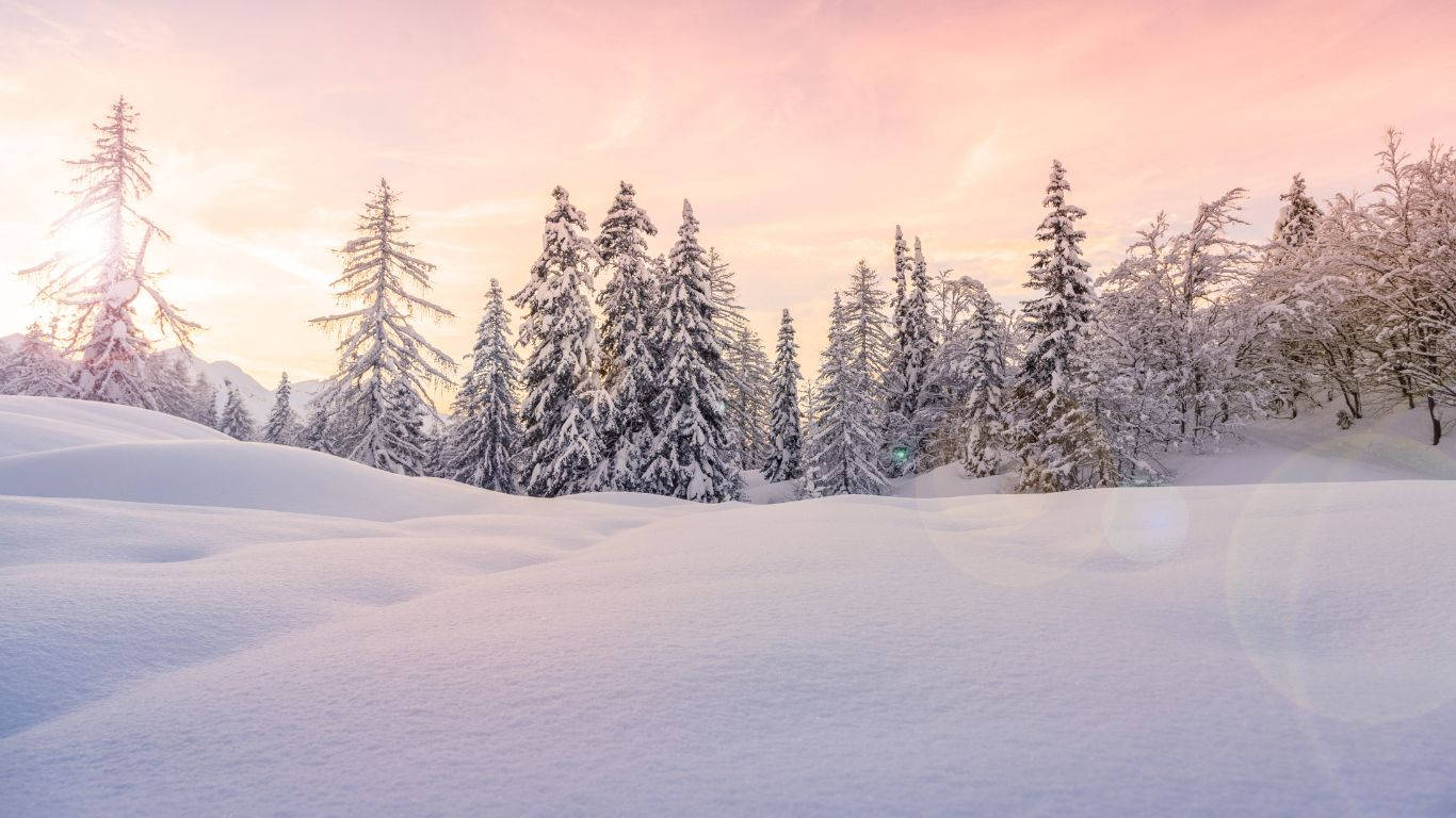 A beautiful winter scene with snow-covered trees Wallpaper