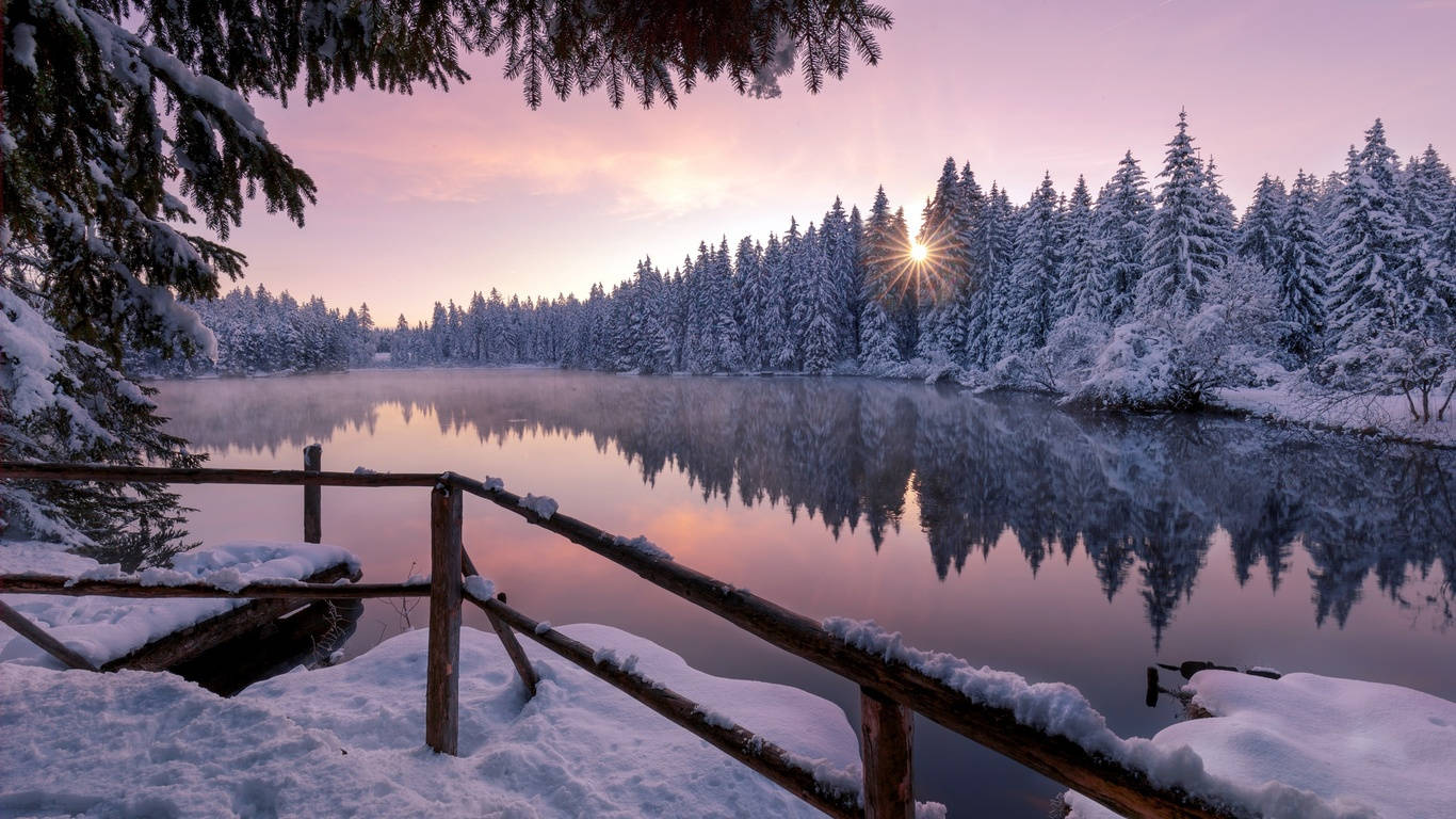 Enjoy the Tranquility of a Frosty Winter Day Wallpaper