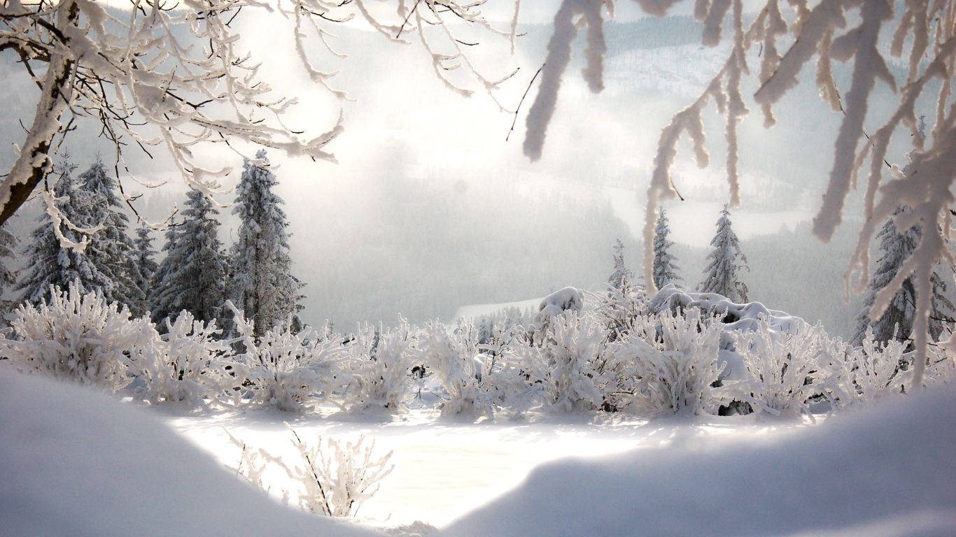 Et billede af en malerisk vinterlandskab af sne-dækkede træer og en rolig sø Wallpaper