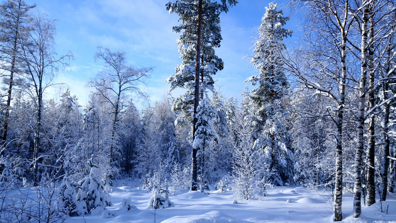 Godendodel Paesaggio Invernale Tranquillo Sfondo