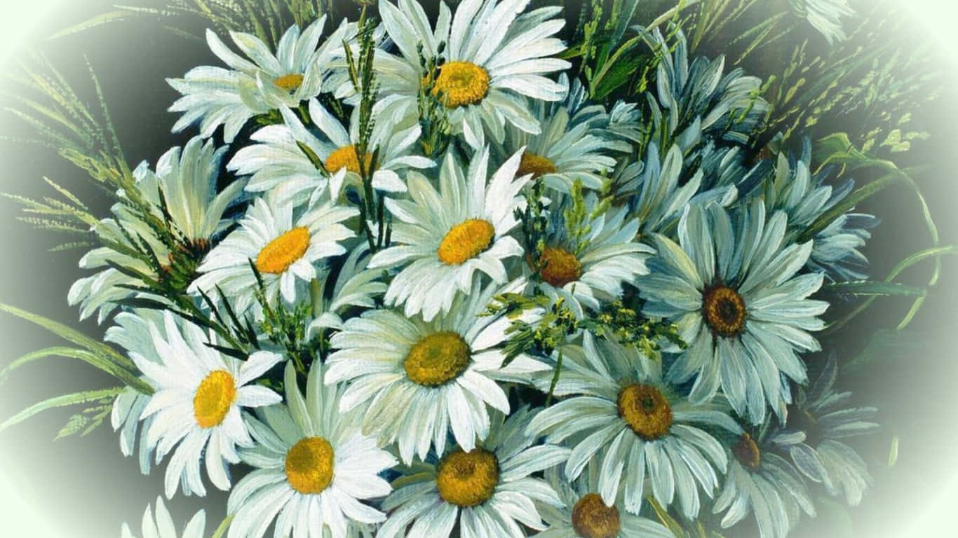 A close-up of a field of beautiful daisies.