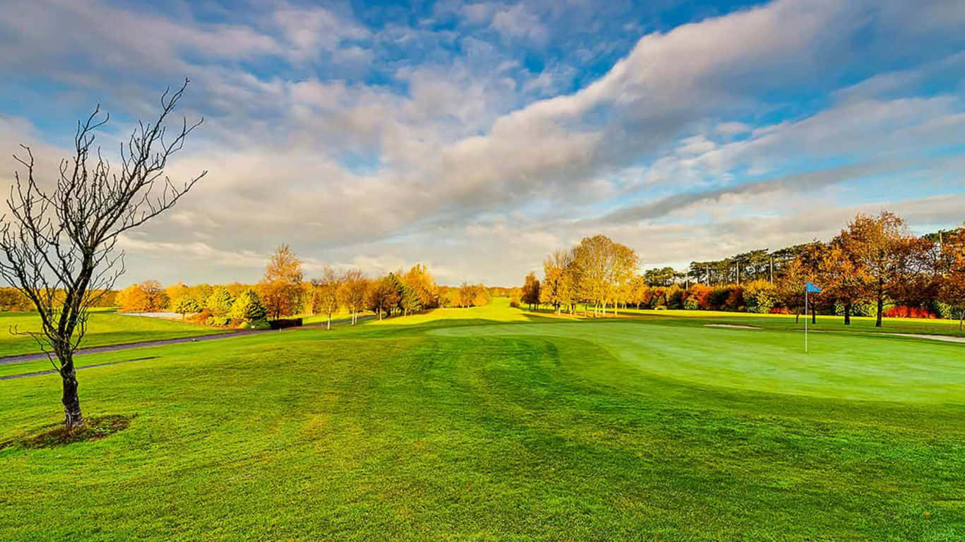 A Golf Course With Trees And Grass