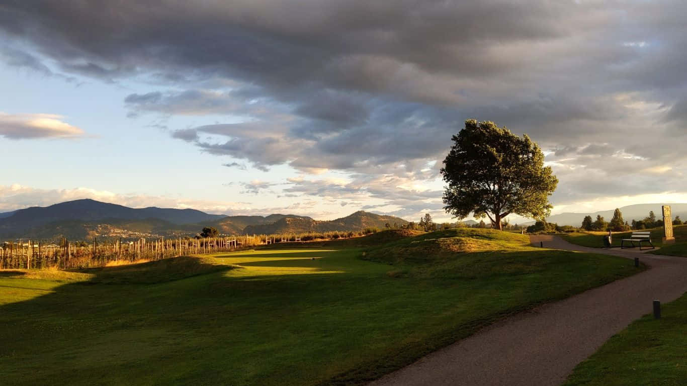 Njutav Den Friska Luften På Den Gröna Golfbanan