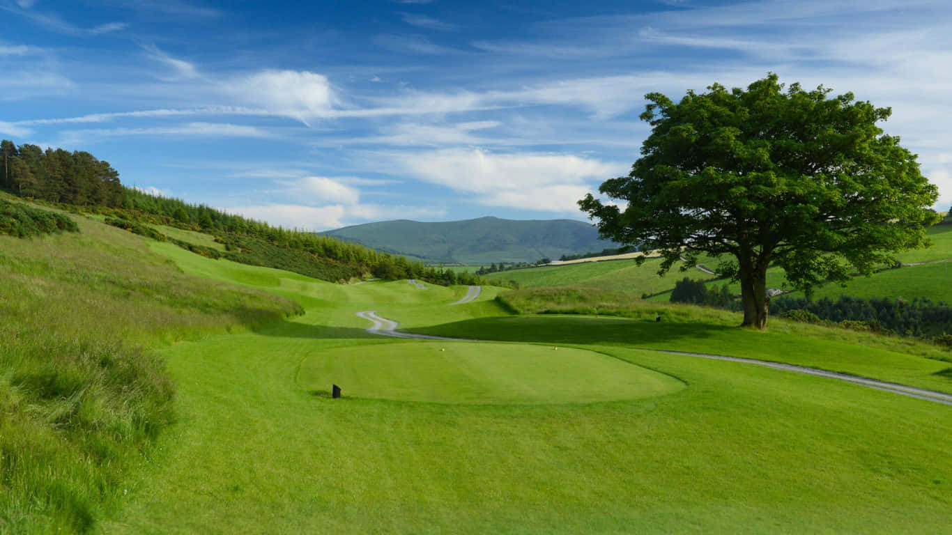 Enluftvy Över En Livlig Grön Golfbana