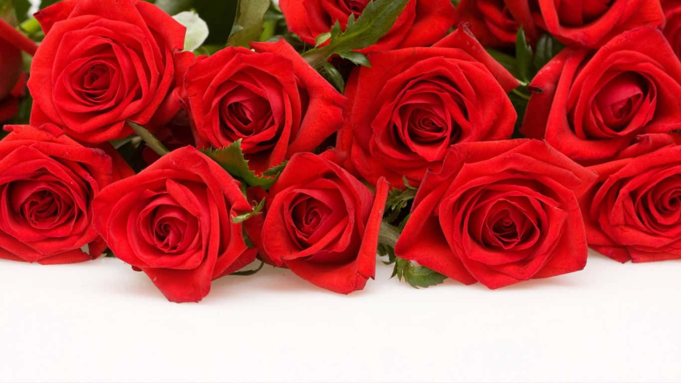 A Bouquet of Beautiful Red Roses