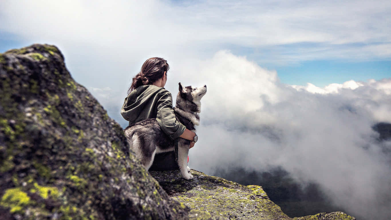 1366x768 Woman With Husky Travel Background