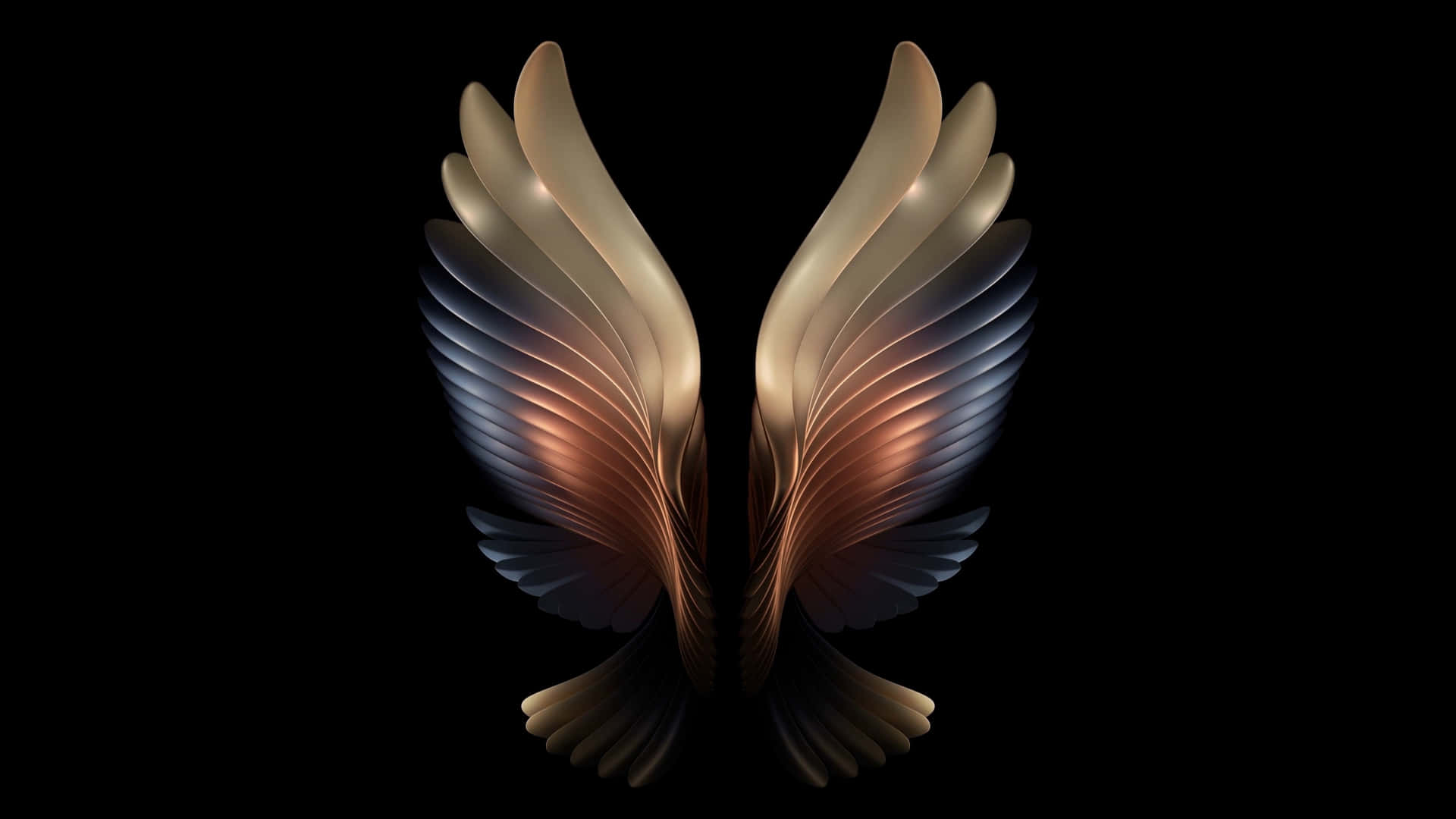 Wings 1440p AMOLED Background