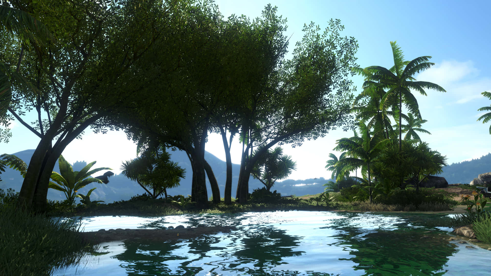 Entropisk Ø Med Træer Og Vand