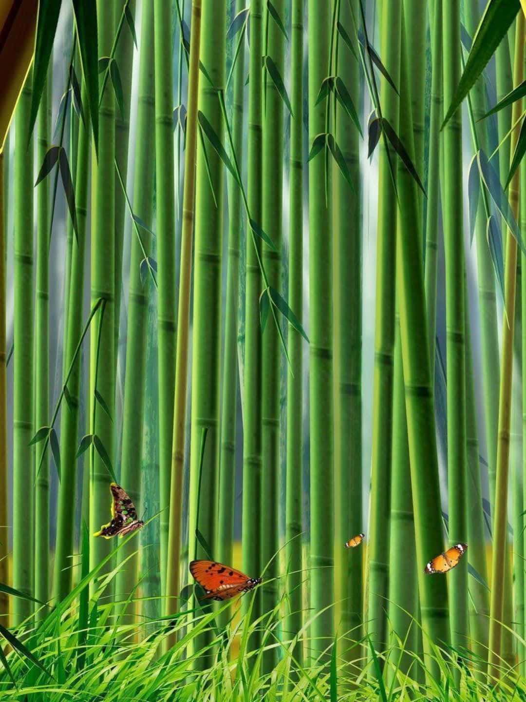 1440psfondo In Bambù Fanart Con Una Pittura Di Farfalle