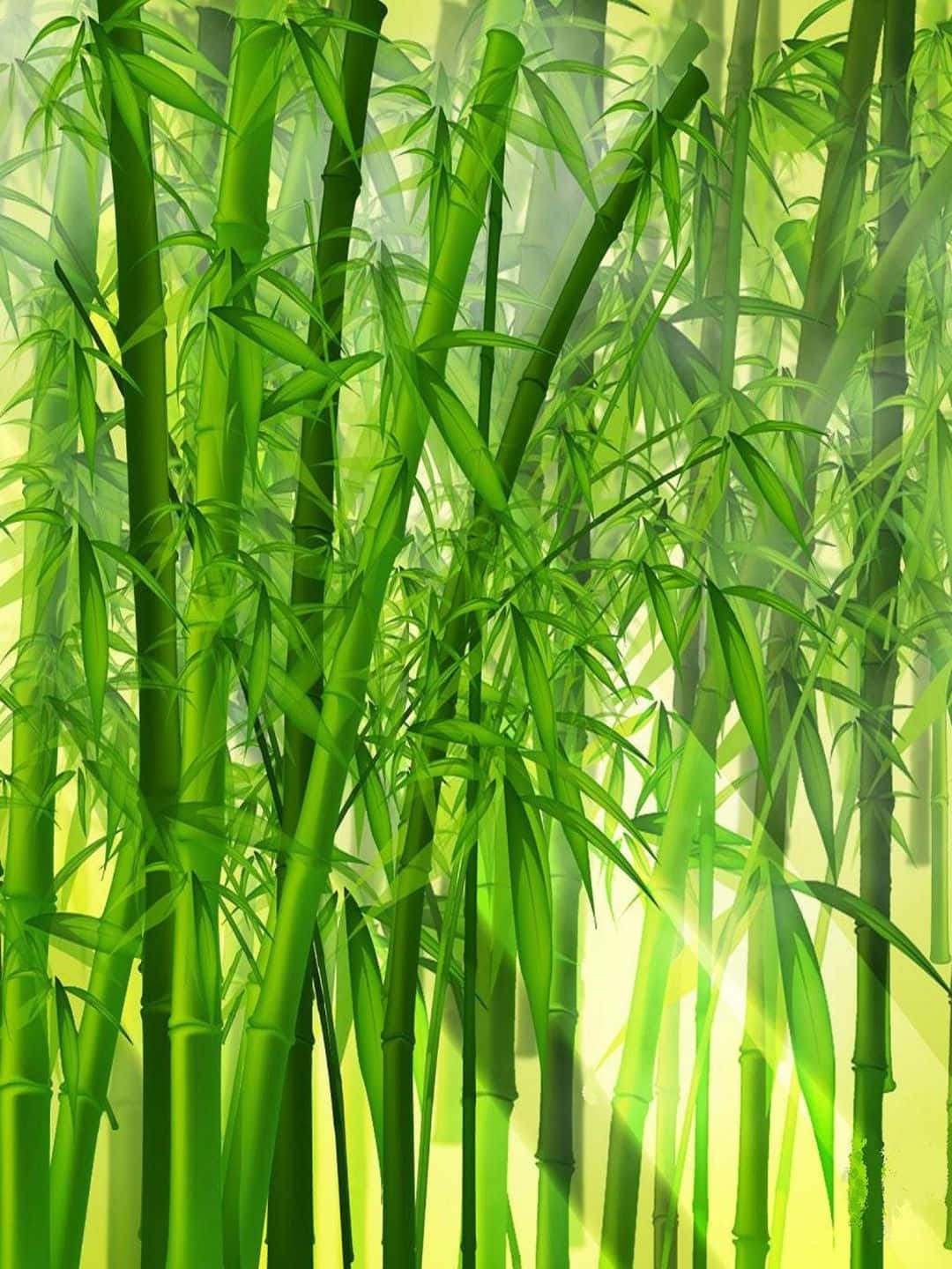 Pinturade Fundo De Bambu Em Resolução De 1440p Com Desenho De Árvores De Bambu.