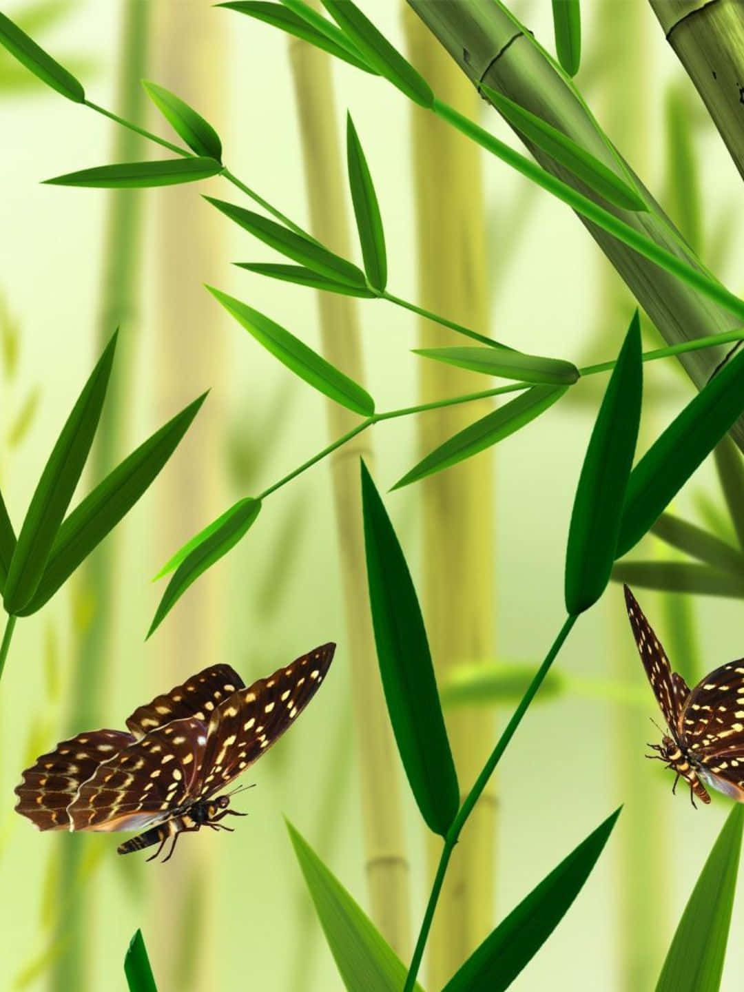 1440pbambus-hintergrund Mit Fliegenden Schmetterlingen Und Blättern