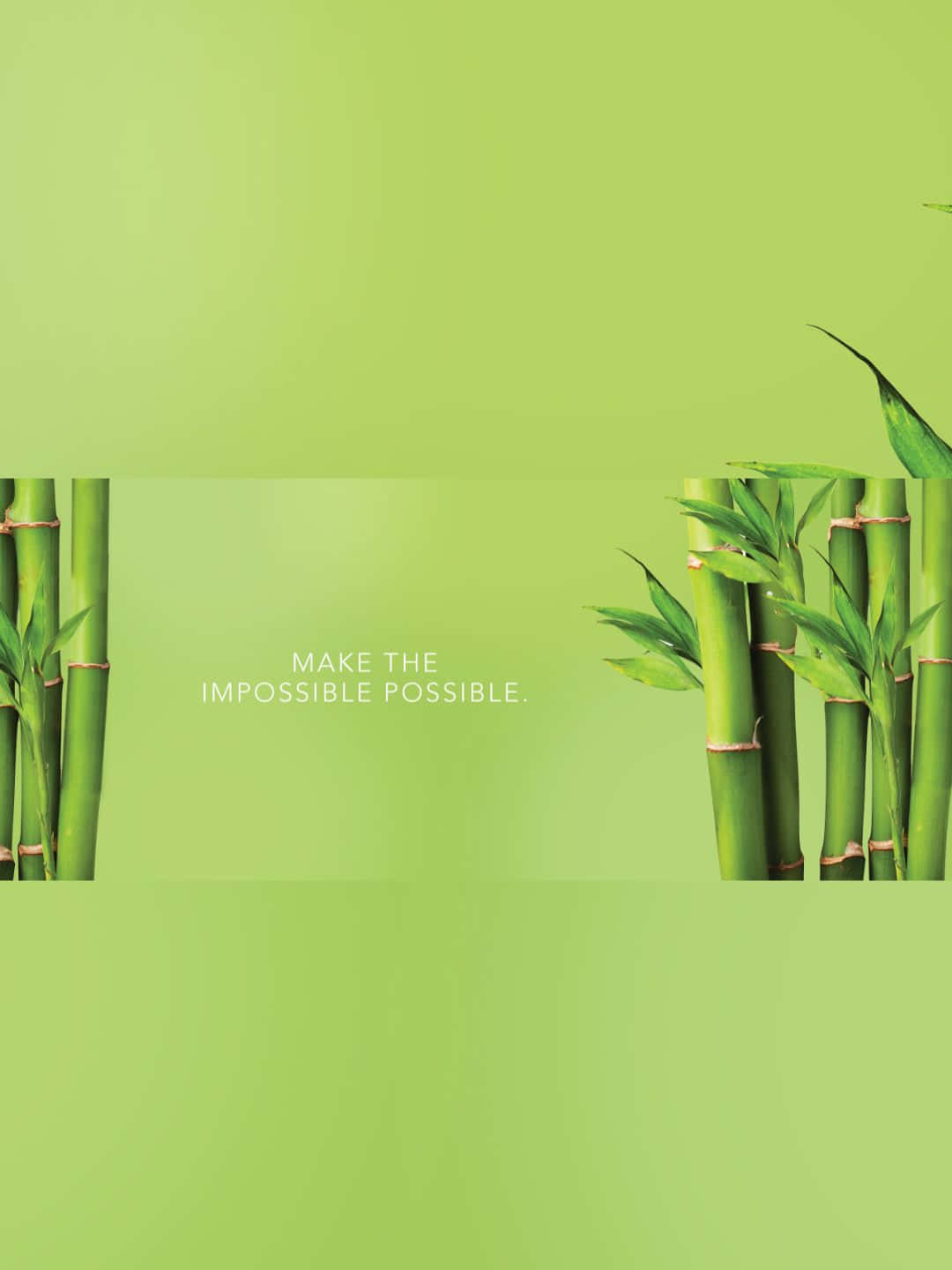 Aesthetic 1440p Bamboo Background