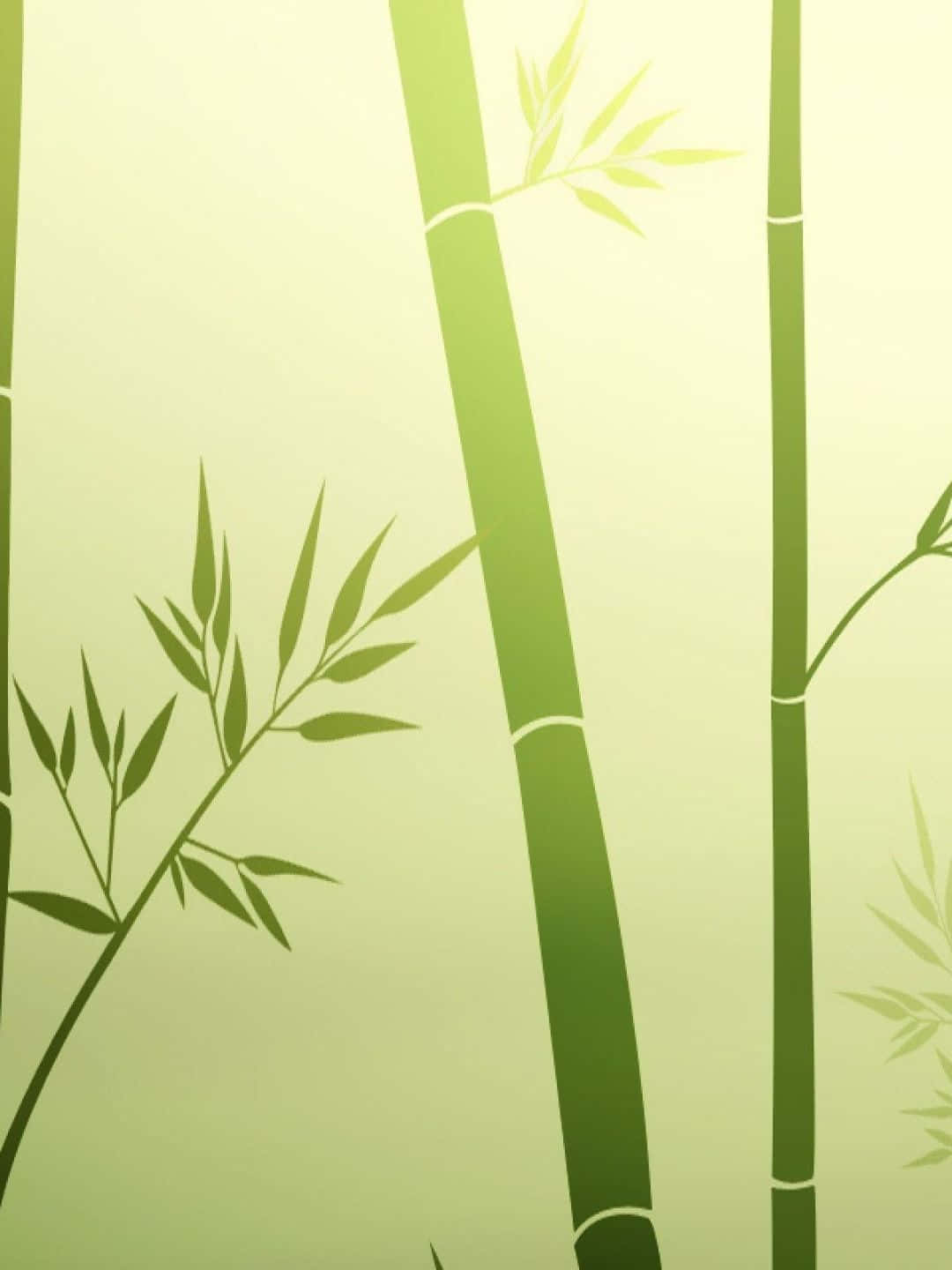 1440pbambus Hintergrund Zeichnung Von Bambusbäumen