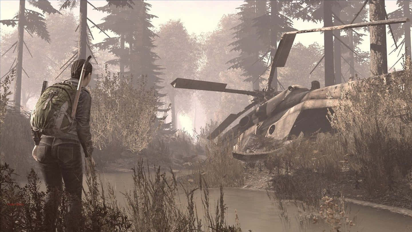 Experience a post-apocalyptic surreal adventure with 1440p Dayz