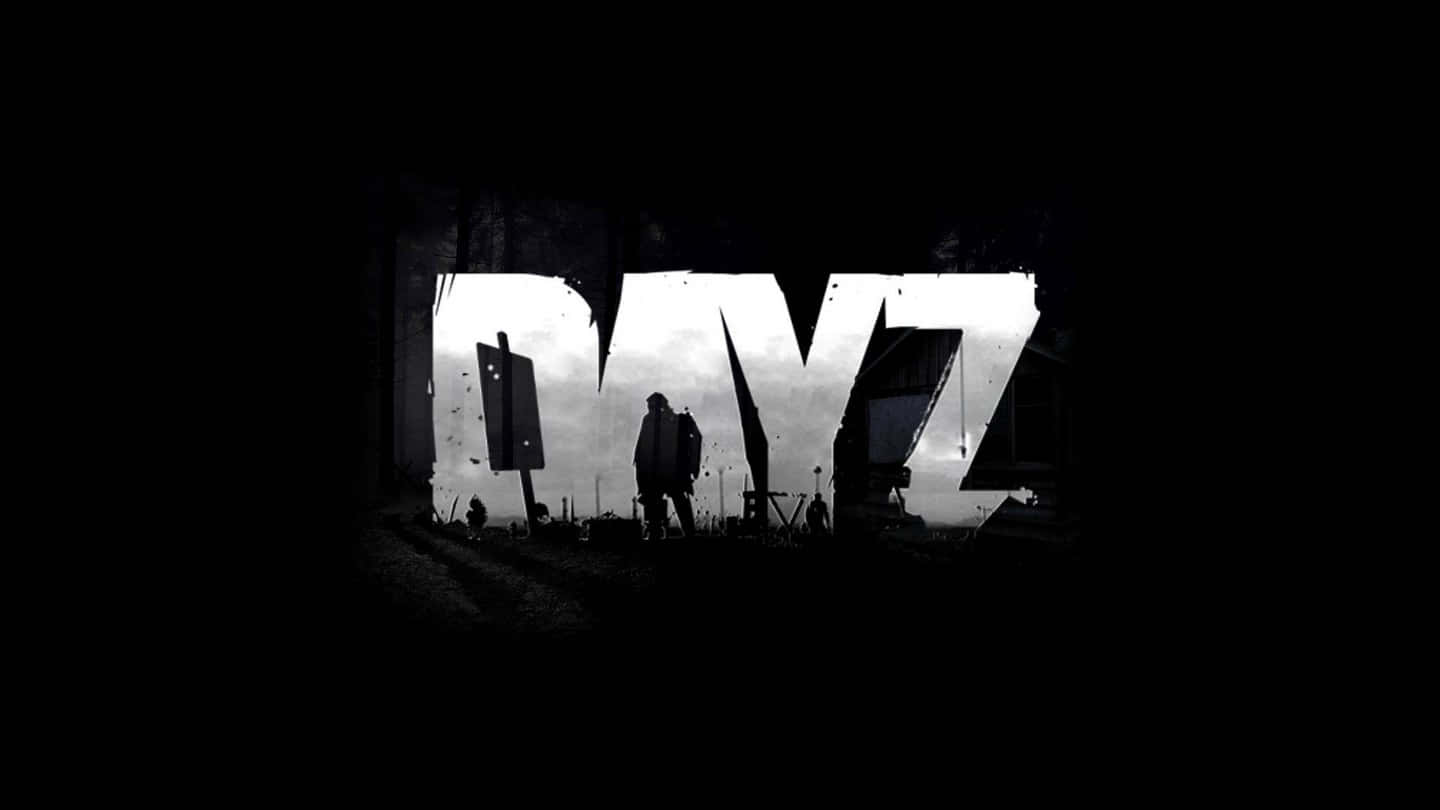 Survive The Dayz In Amazing 1440p Resolution