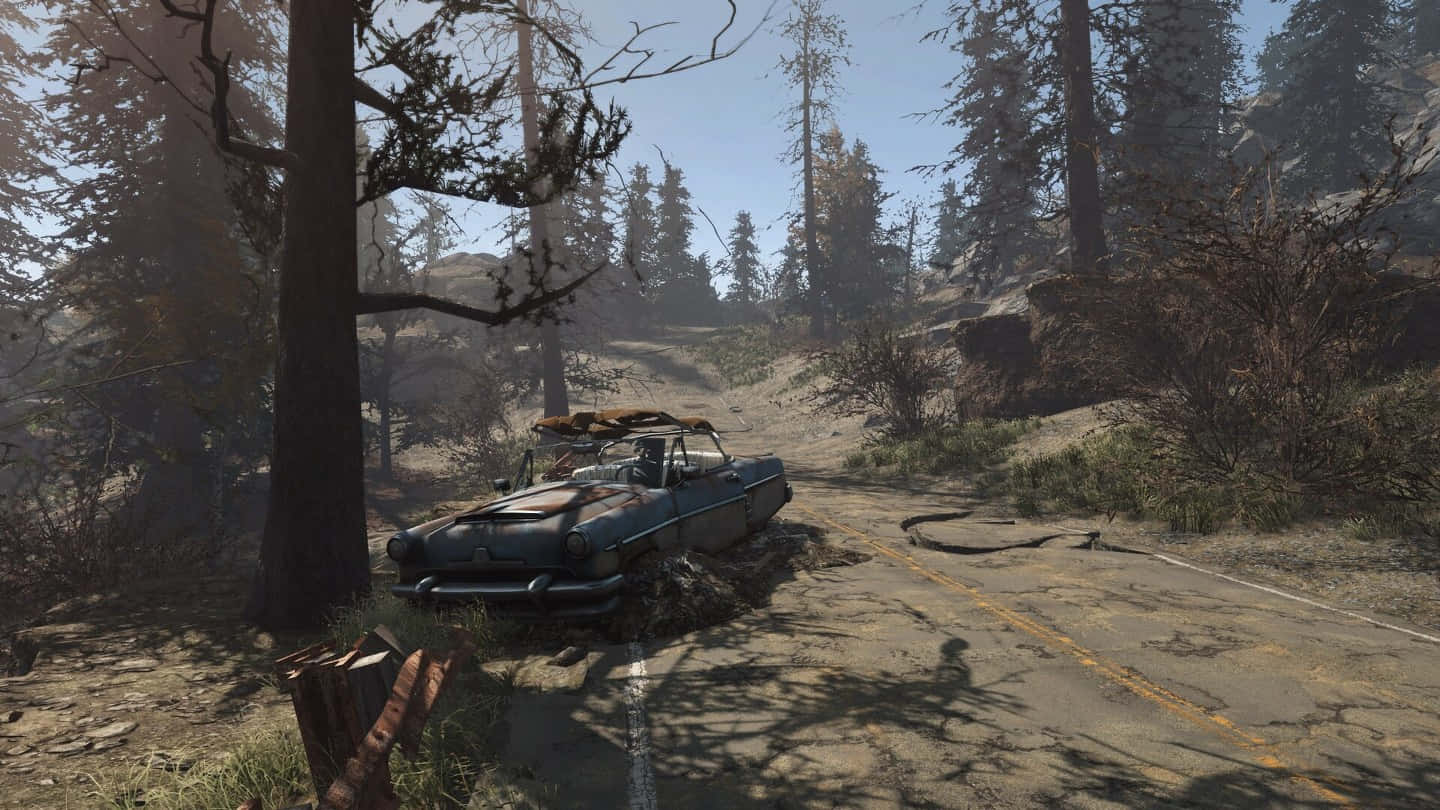 A Car Is Driving Down A Road In The Woods