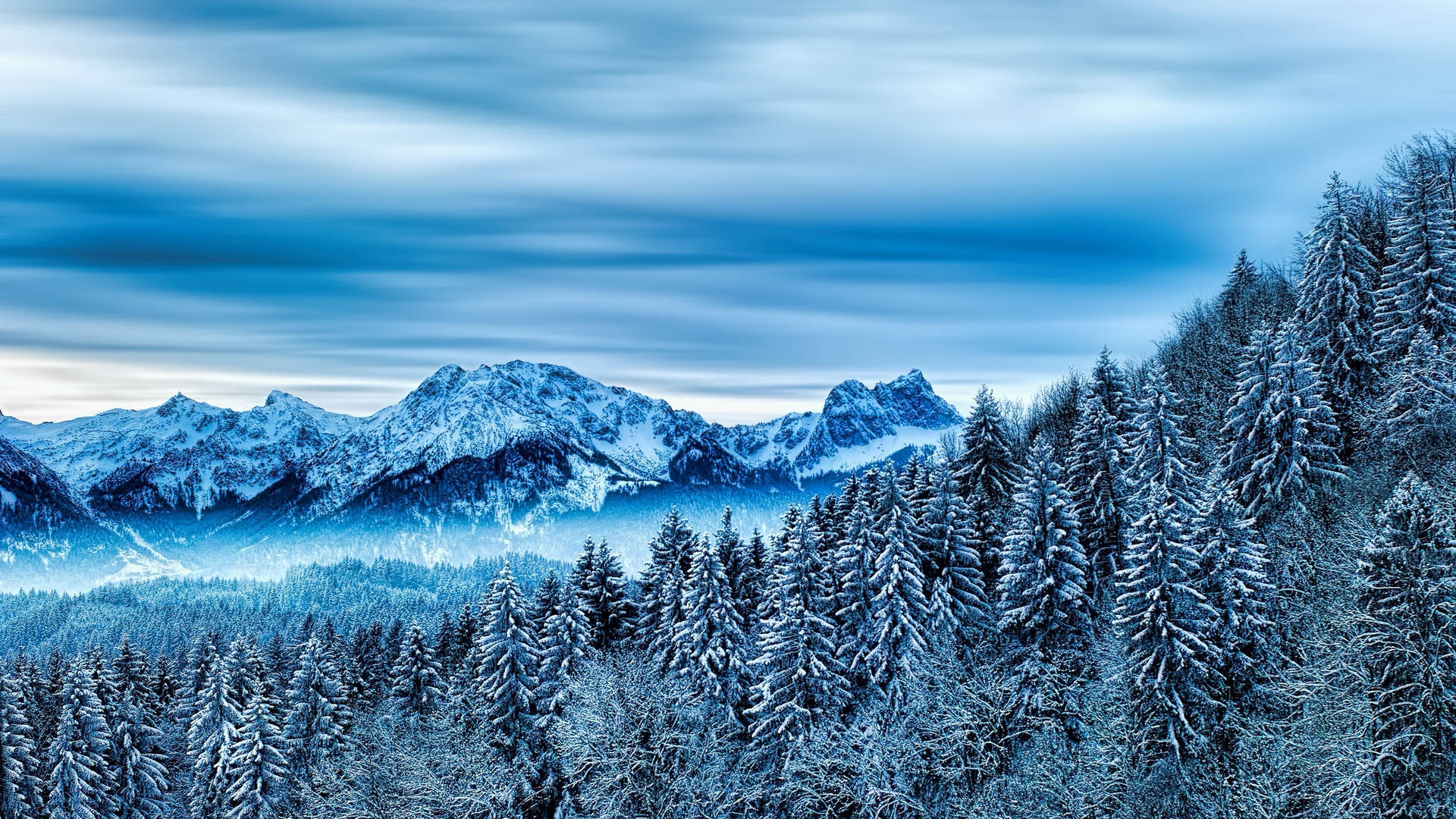 Et sneklædt bjerglandskab med træer og en blå himmel Wallpaper