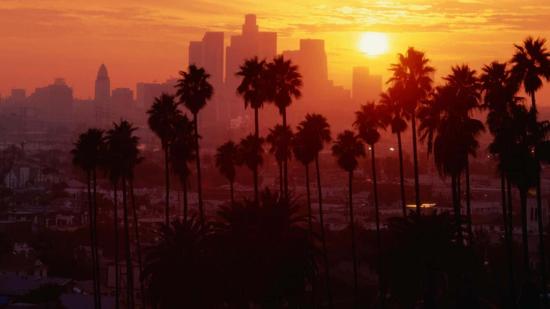 1440p Malibu Los Angeles Sunset Background