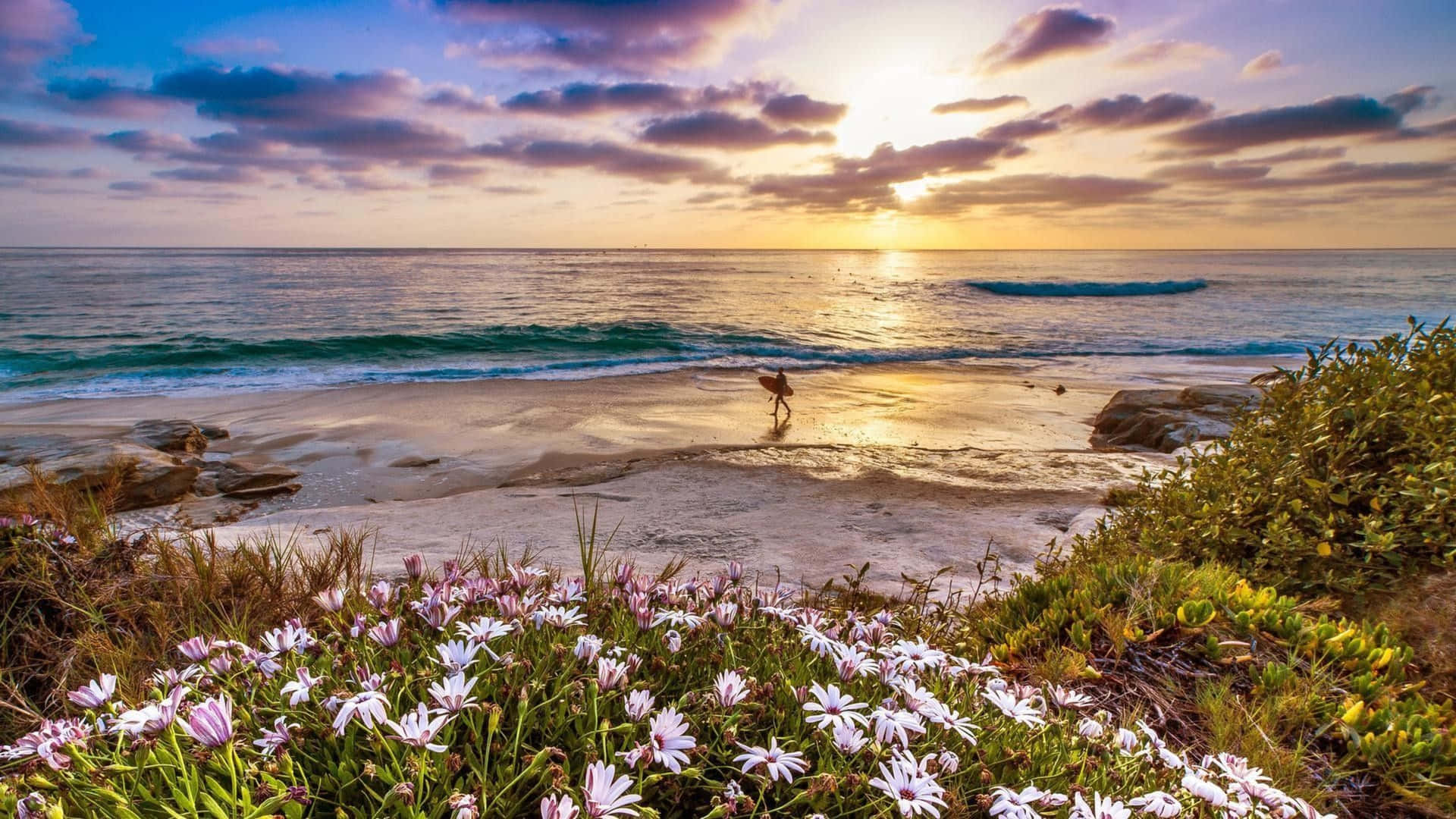 1440p Malibu Surfer Flowers Background