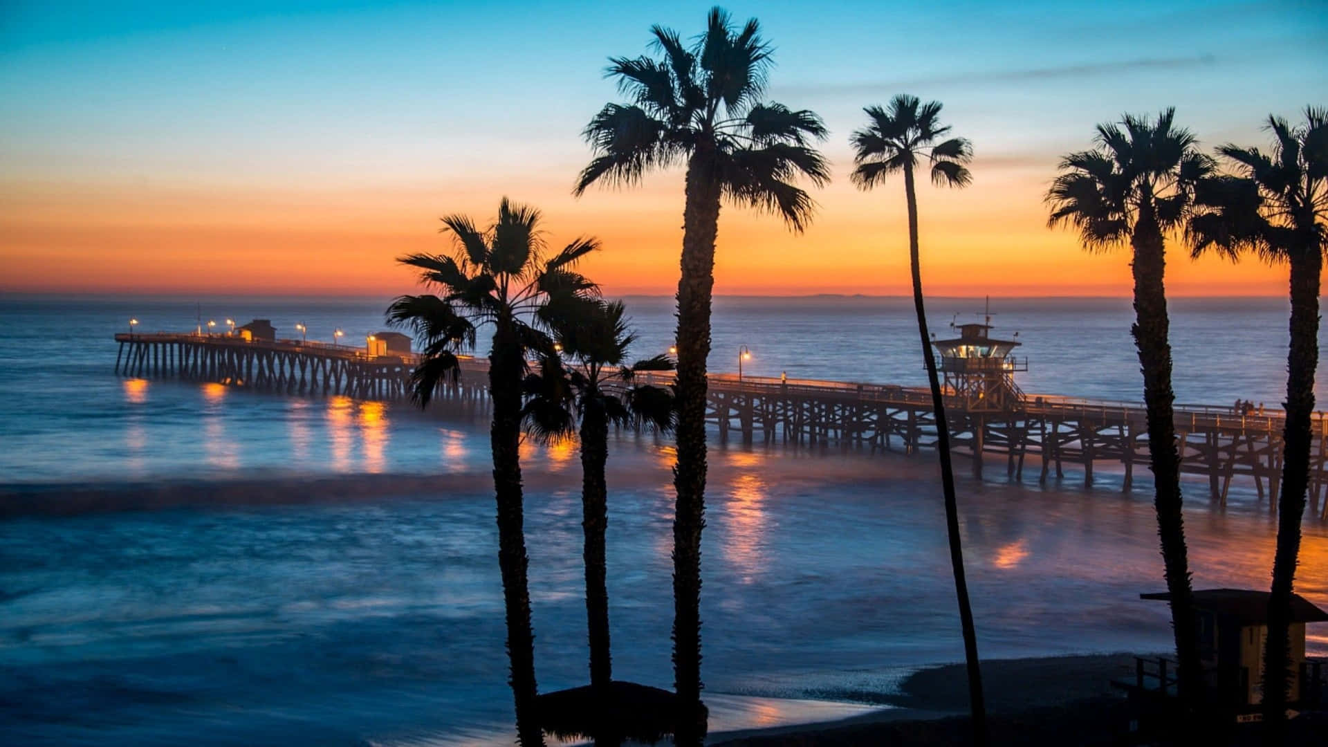 1440p Malibu Pier Palm Trees Background